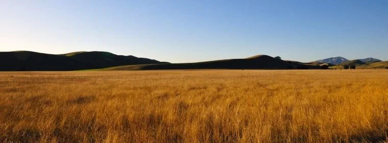 1 Corinthian 3:5-7...Only God May Grow the Seed...