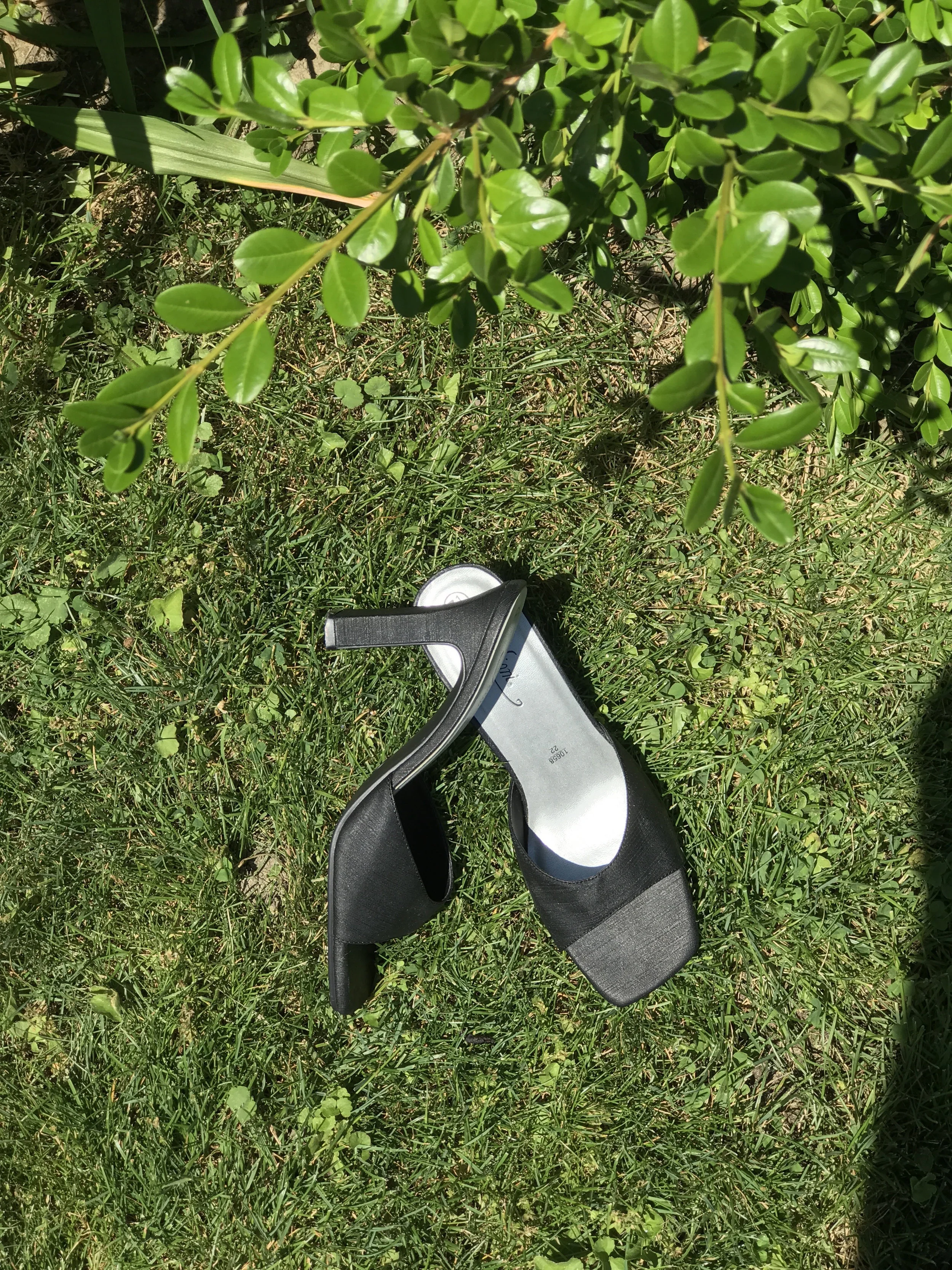 shoe3_1.jpg