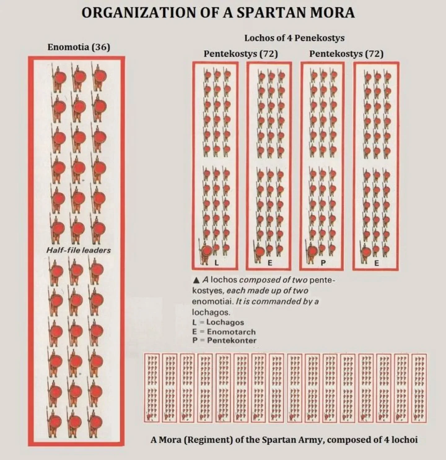 ⚔️ The Spartan Phalanx: Built of Equals ⚔️

Most people know Sparta for its hoplites. Fewer know *how* those hoplites were organized into one of the most efficient (and granular) military structures of the Classical Greek World.

The smallest unit wa