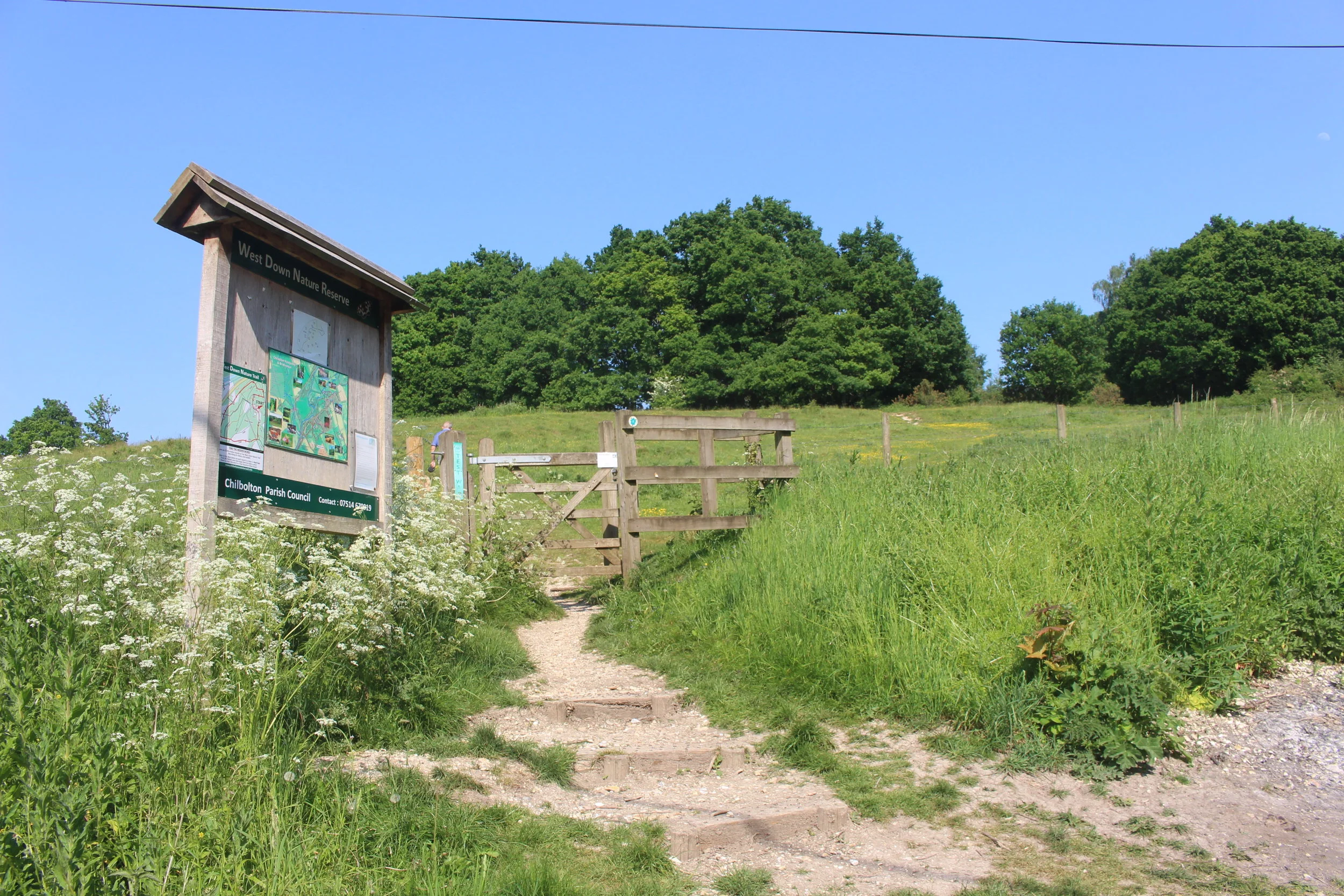 Rowbury Campsite 071.JPG