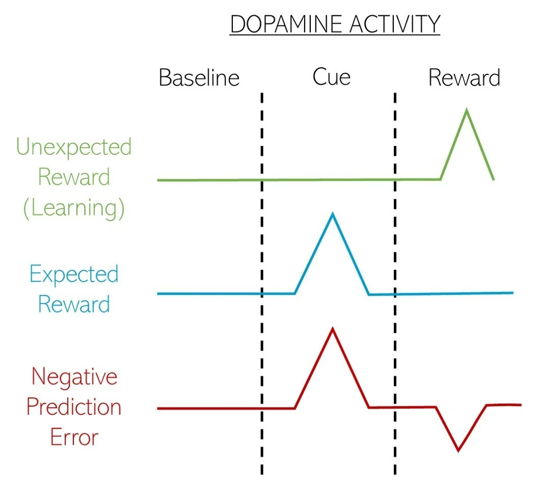 Figure2.jpg