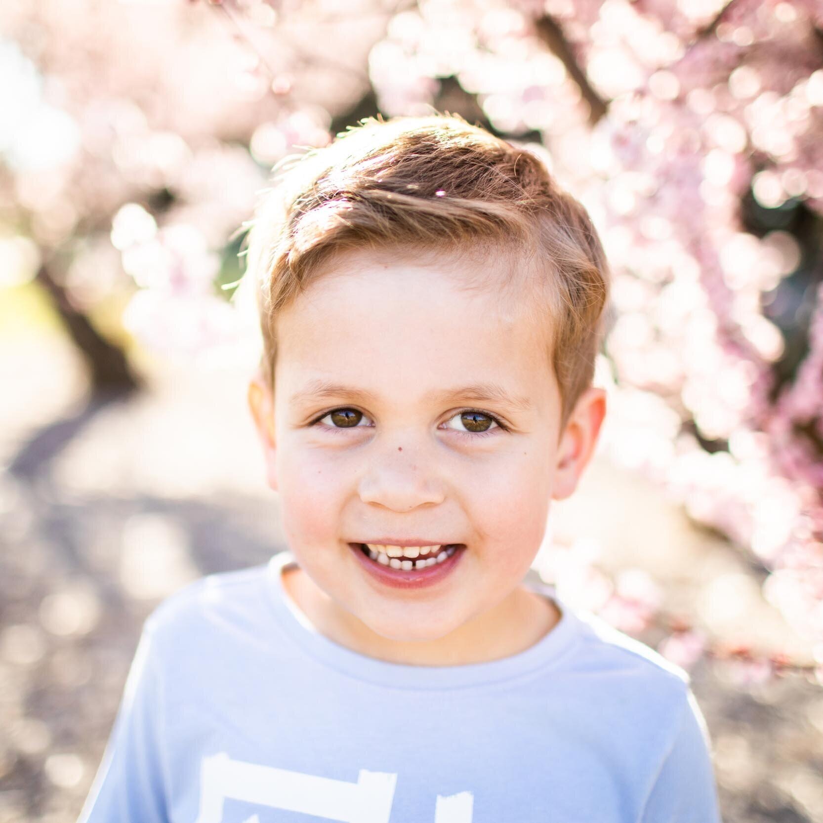 Saturday 22nd August 2020 - Spring Blossom Sessions