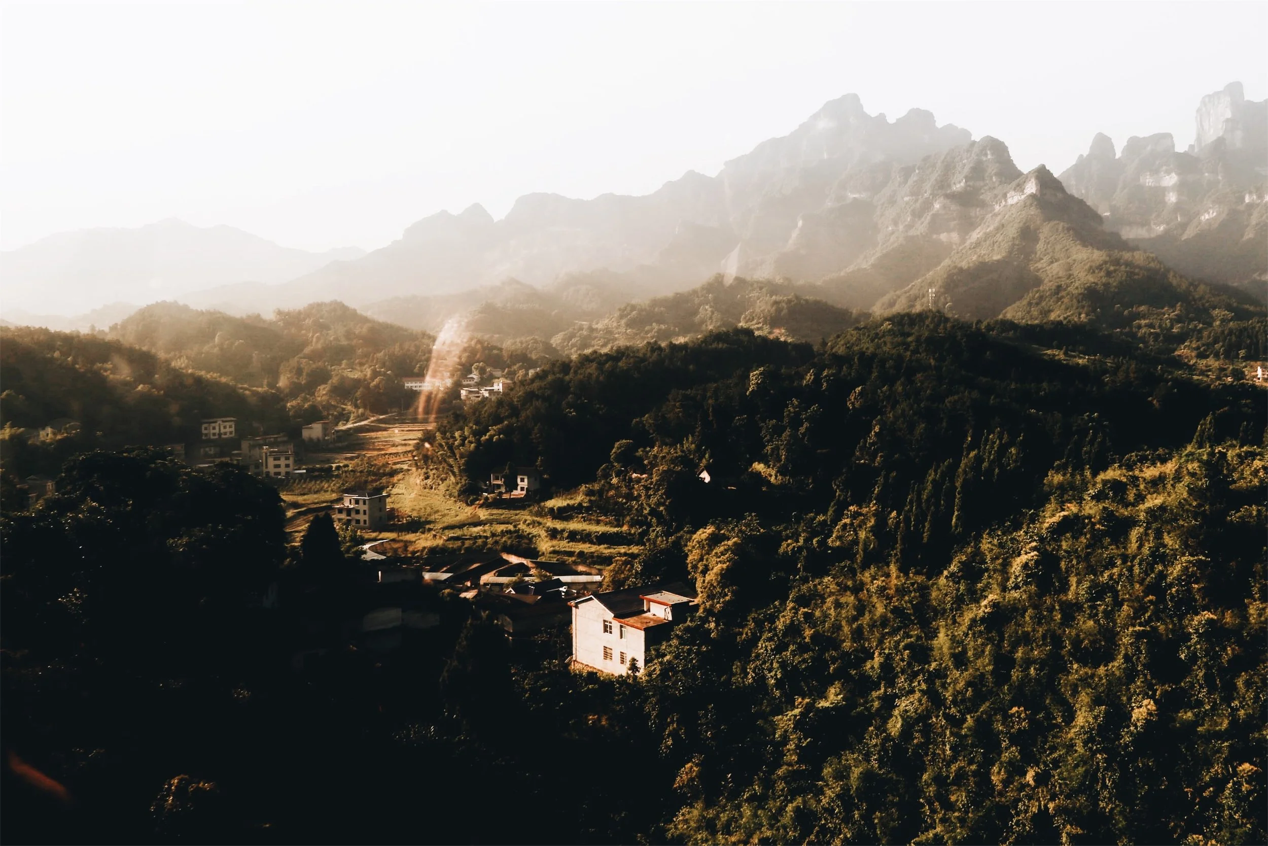 JPEG image-1CD1E808DF15-8.jpeg