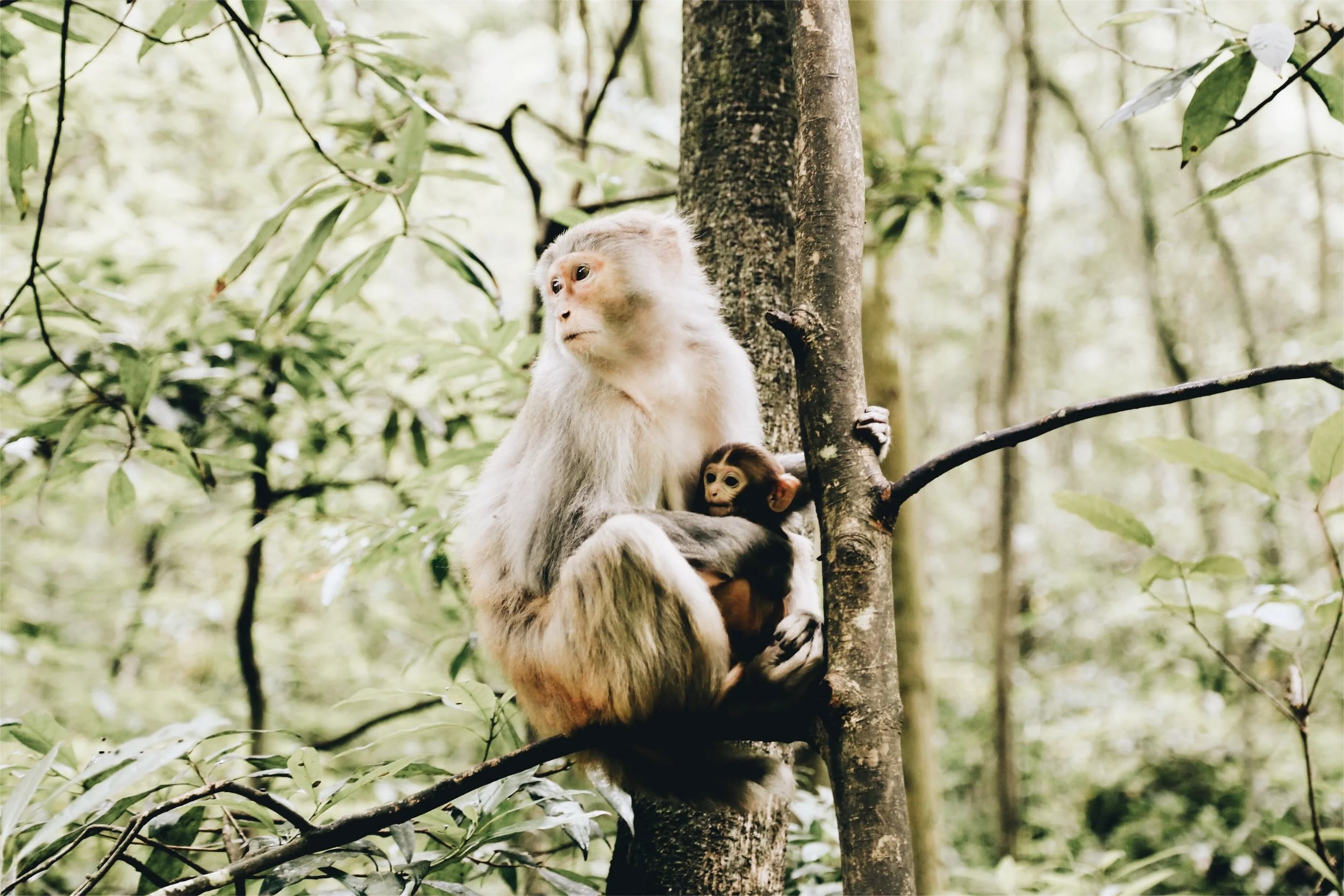 JPEG image-1CD1E808DF15-12.jpeg