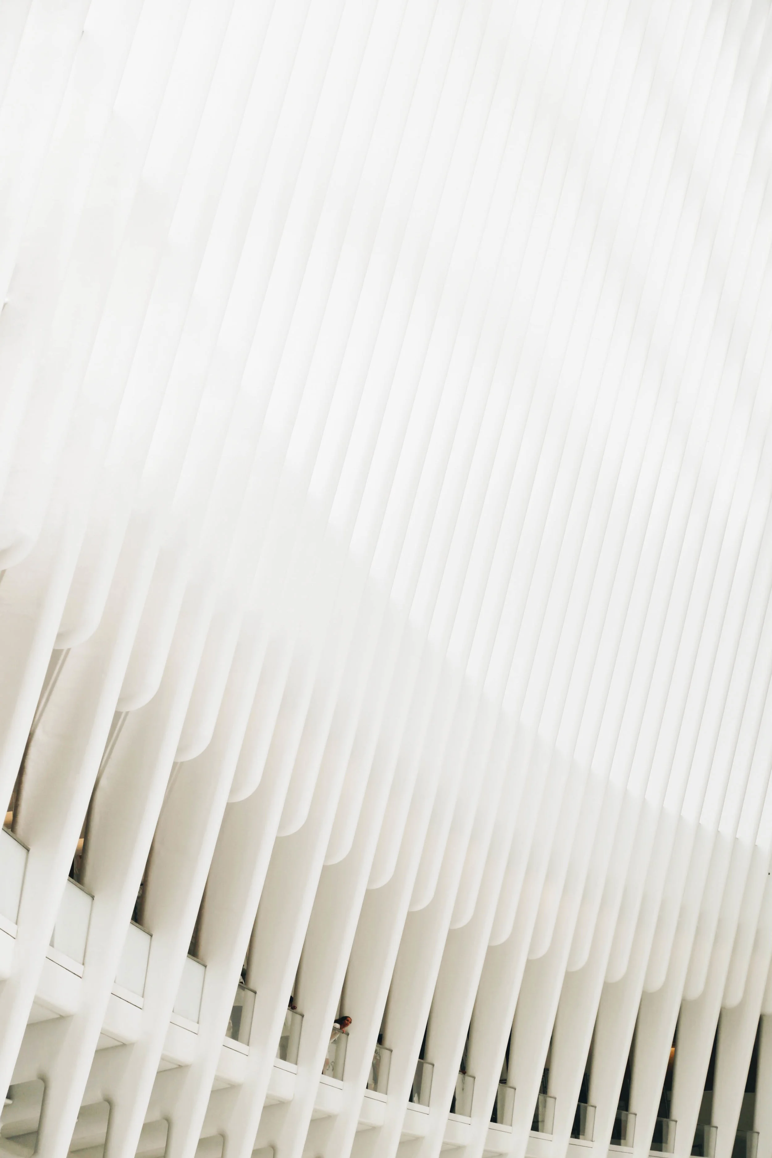 JPEG image-619BBC781366-32.jpg