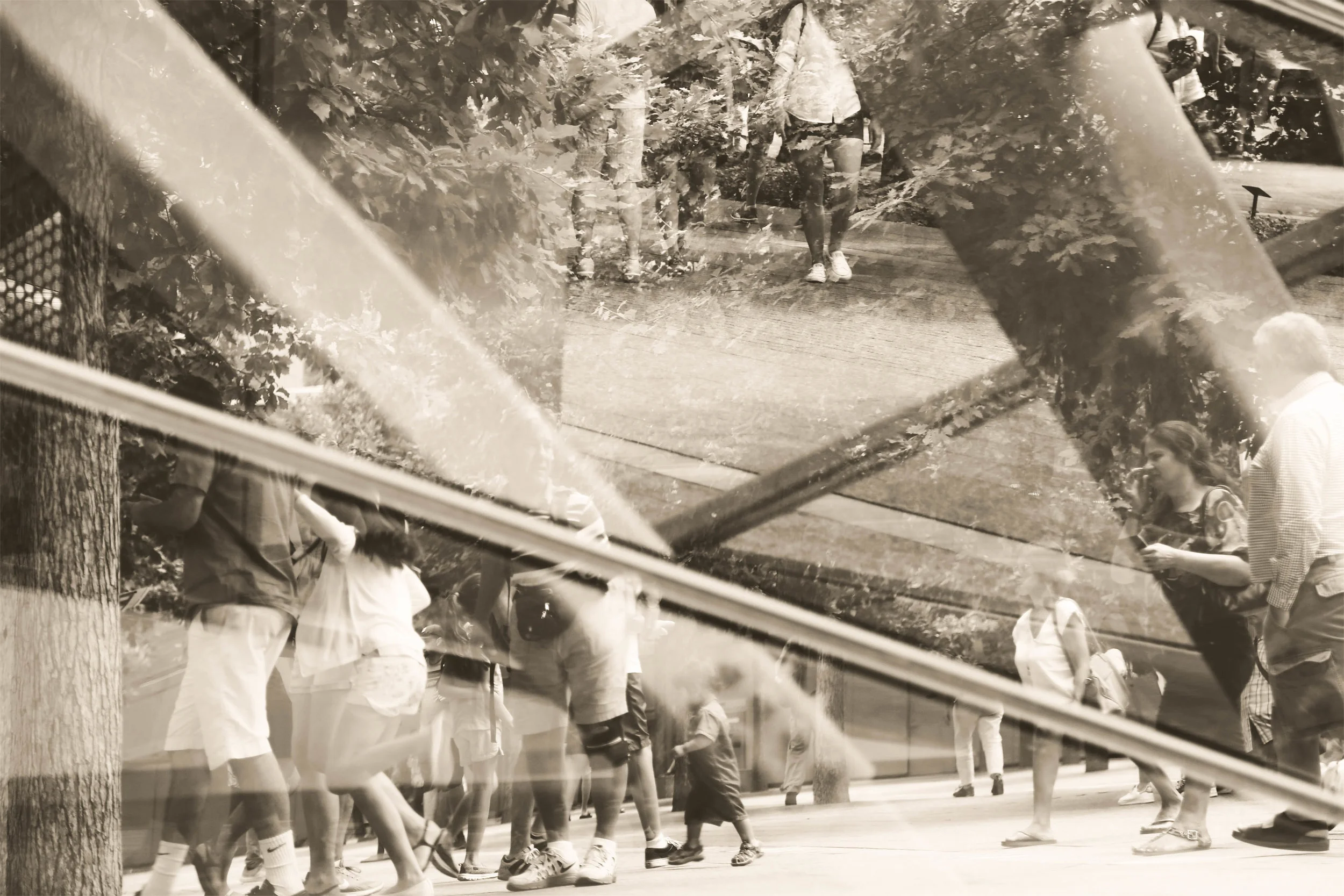 JPEG image-619BBC781366-39.jpg