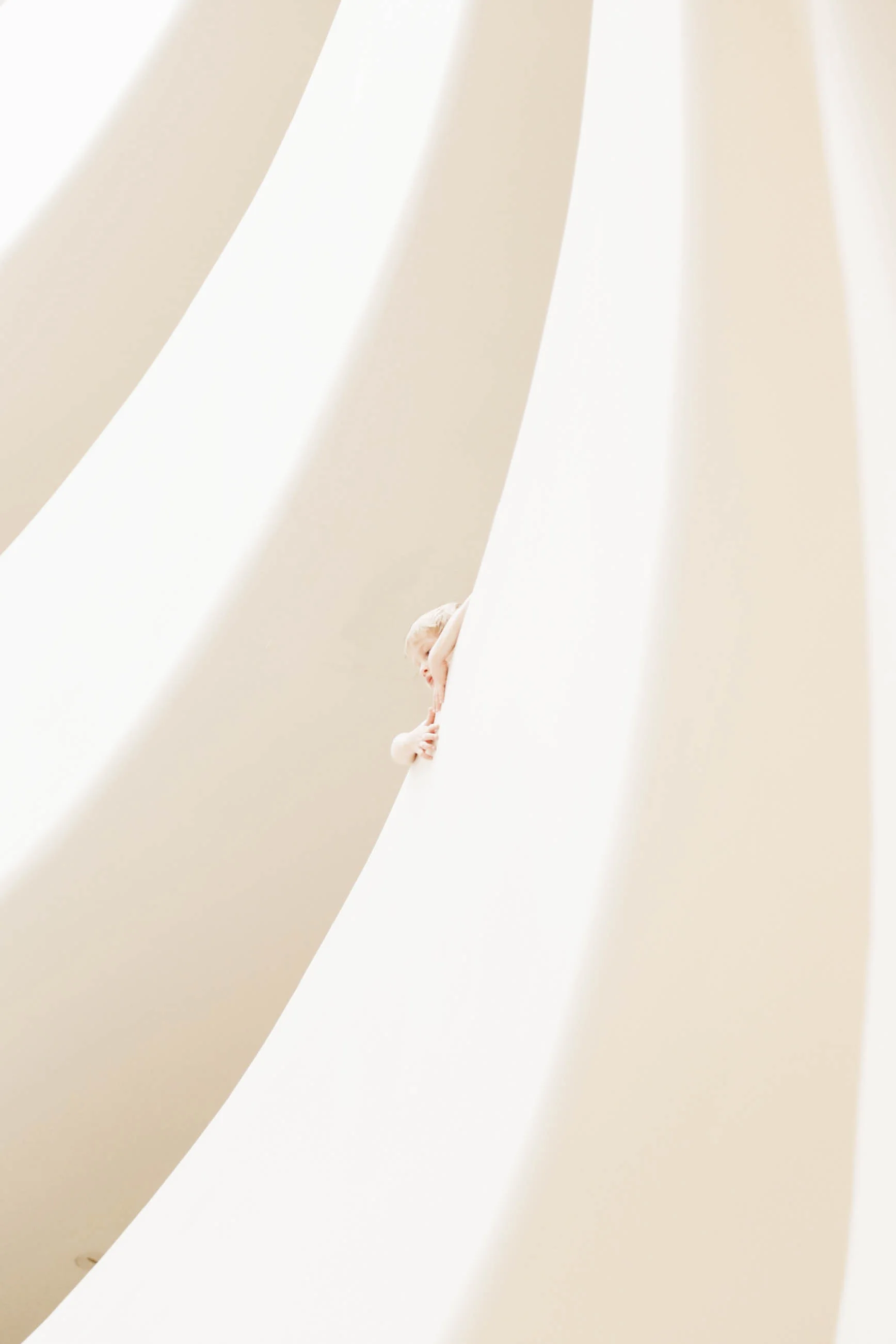 JPEG image-619BBC781366-9.jpg