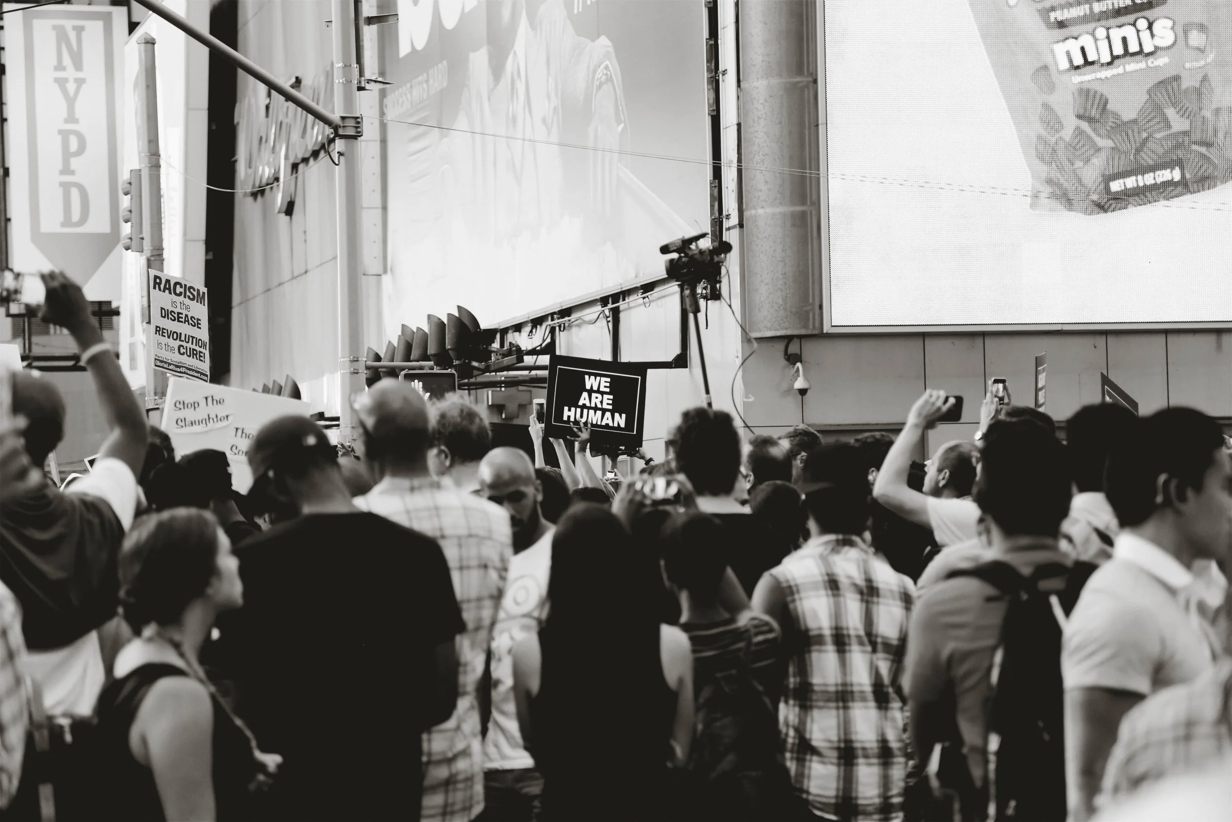 JPEG image-619BBC781366-2.jpg