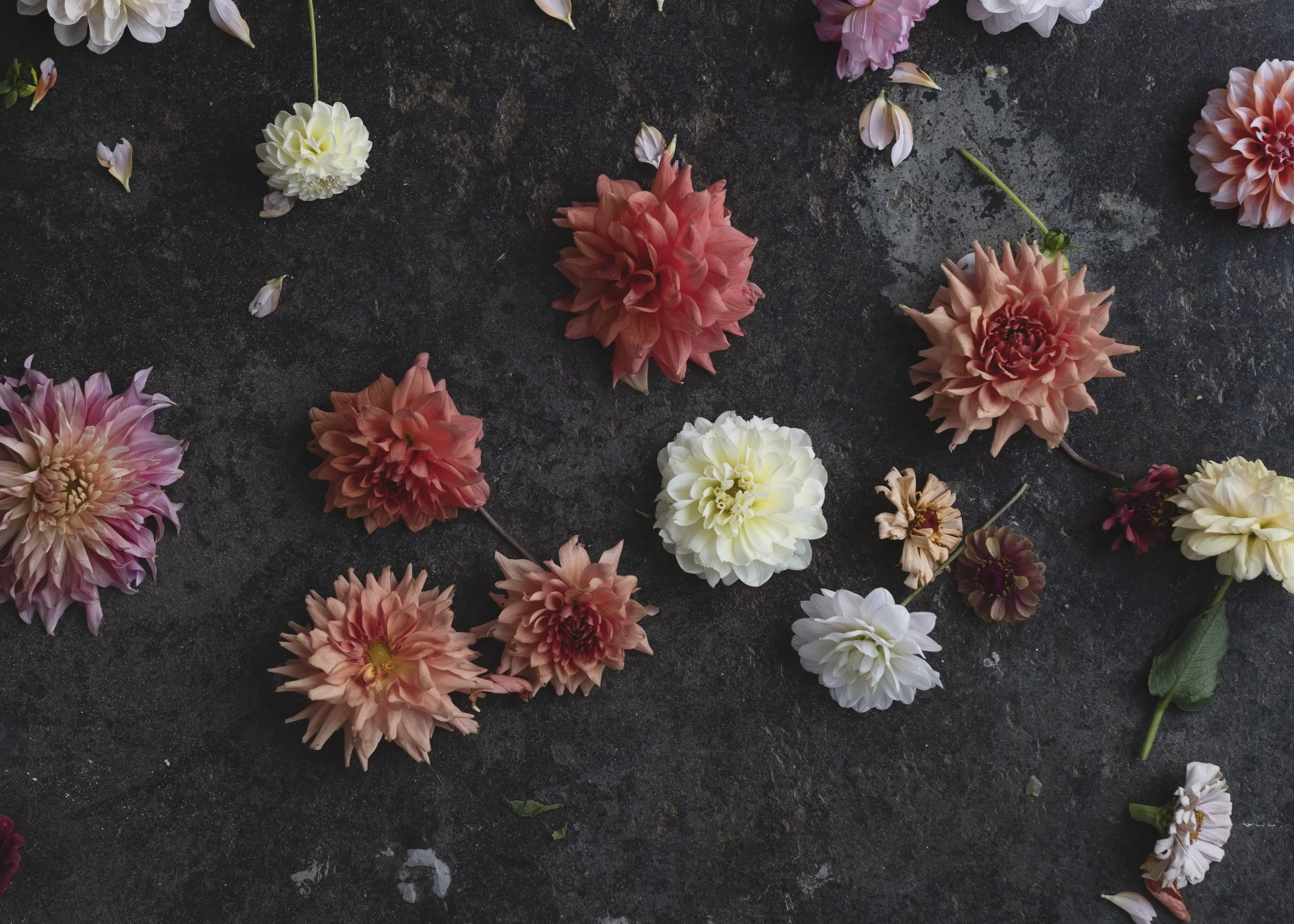 crone-culture-shawnalee-studios-flowers-1.jpg
