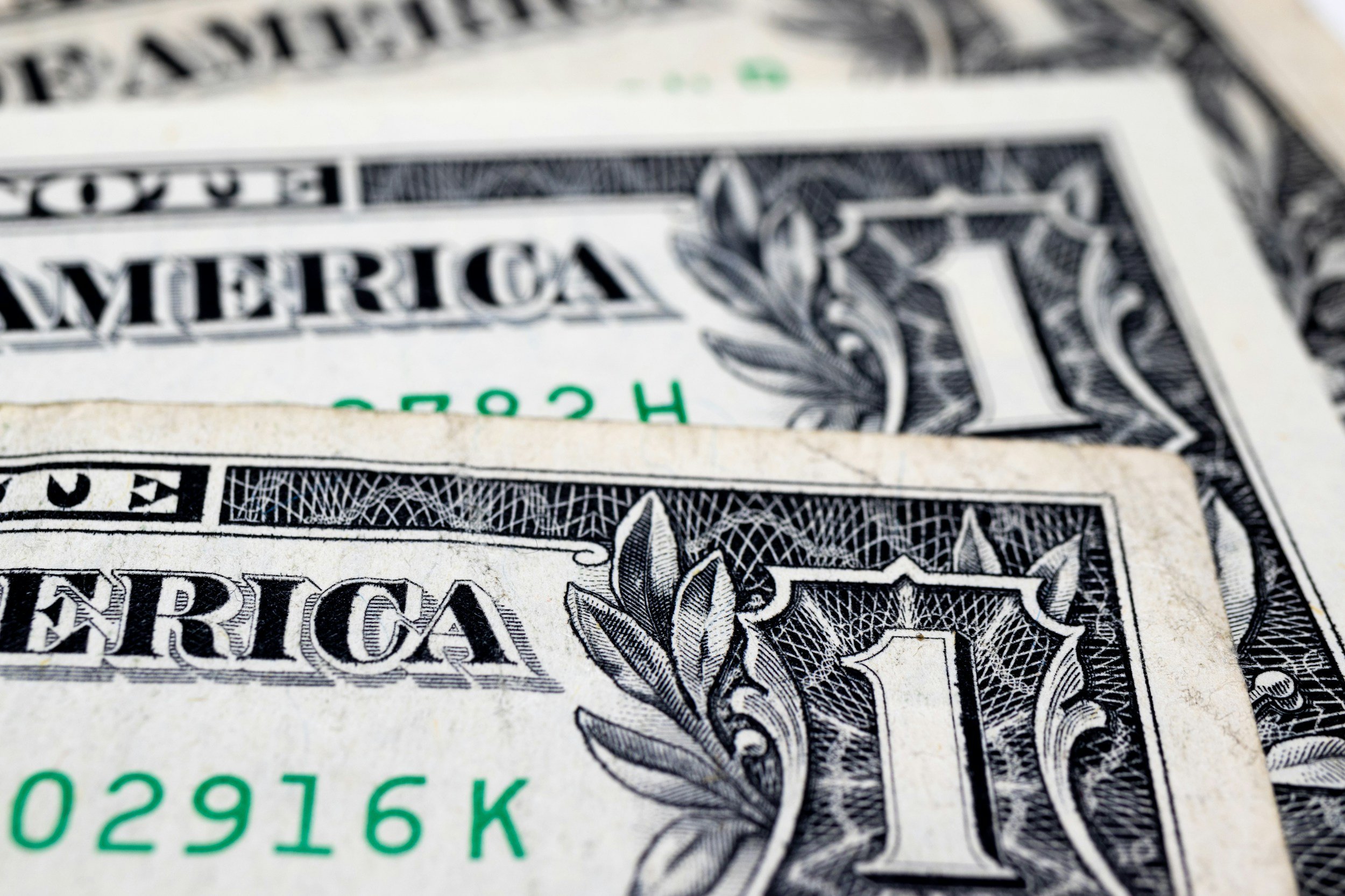 Saratoga Springs 2024 Participatory Budget