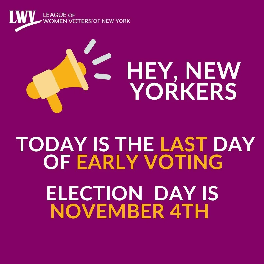 Today is the last day of Early Voting. Be sure to get out and vote today or on November 4th if you have not already!

#LocalElections #DefendDemocracy #EmpowerVoters