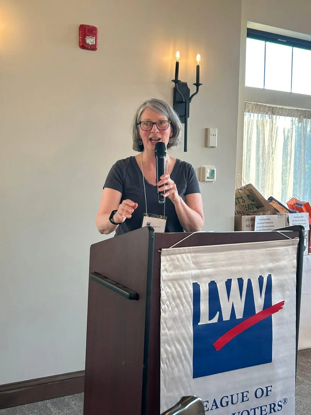 League of Women Voters of Saratoga County 60th Annual Meeting, June 9, 2026