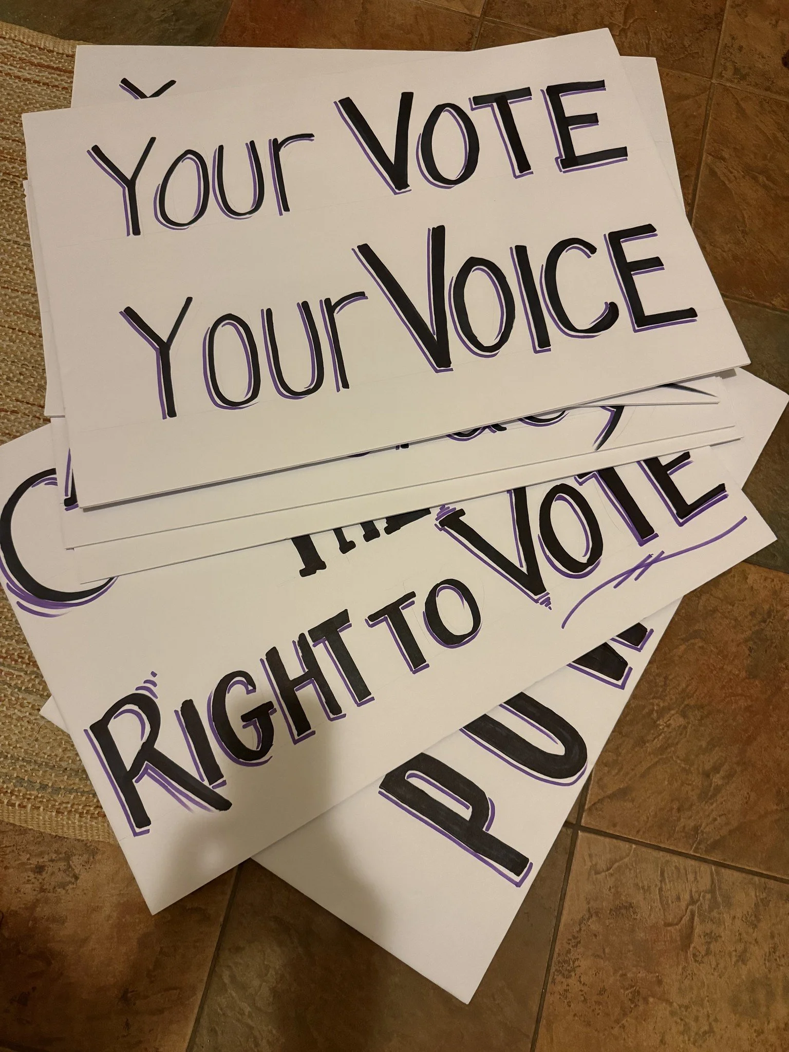 LWVSC Flag Day Brigade Sign-making Party June 10, 2026