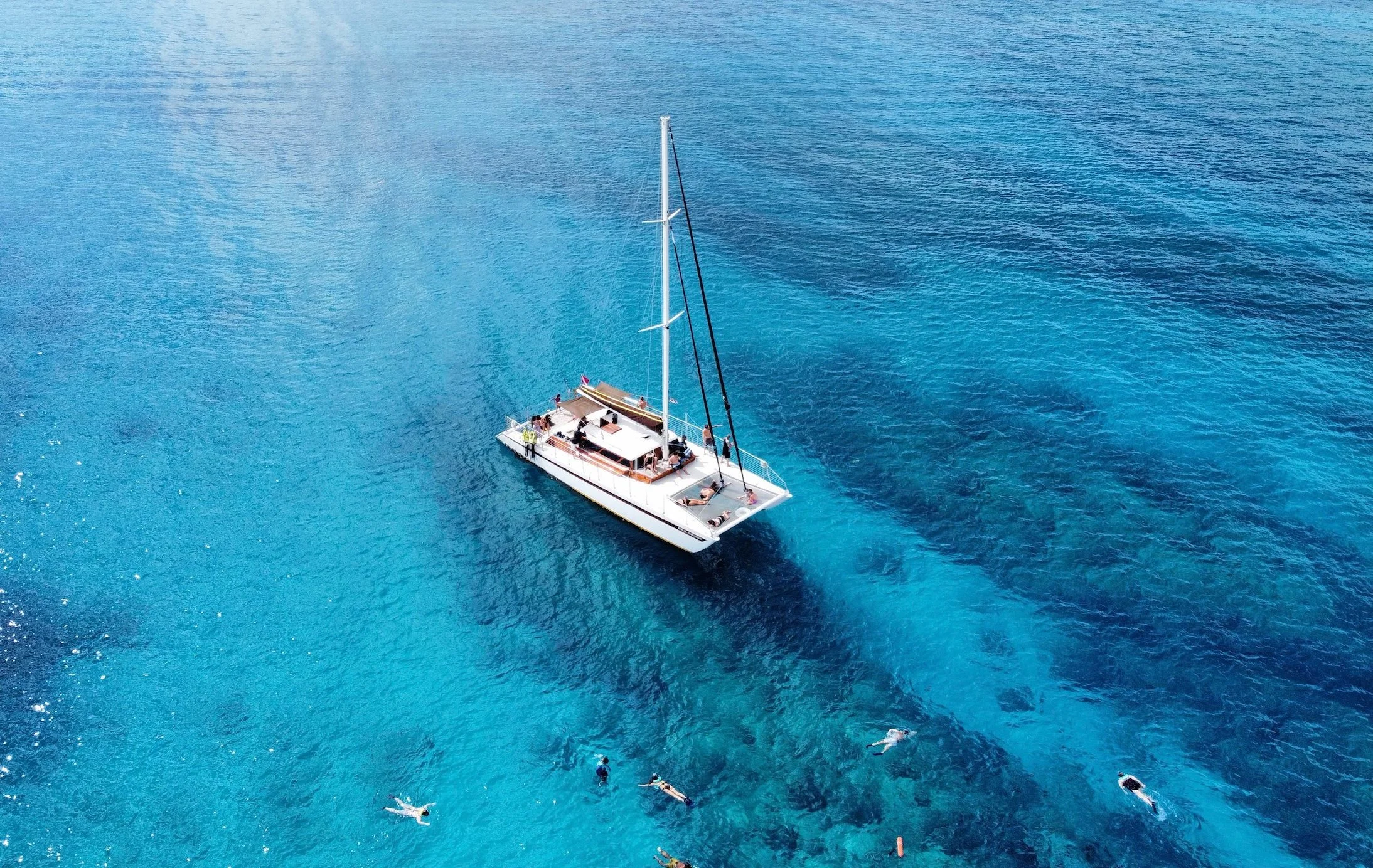 Summer Is the Best Time for Snorkeling in Waikiki