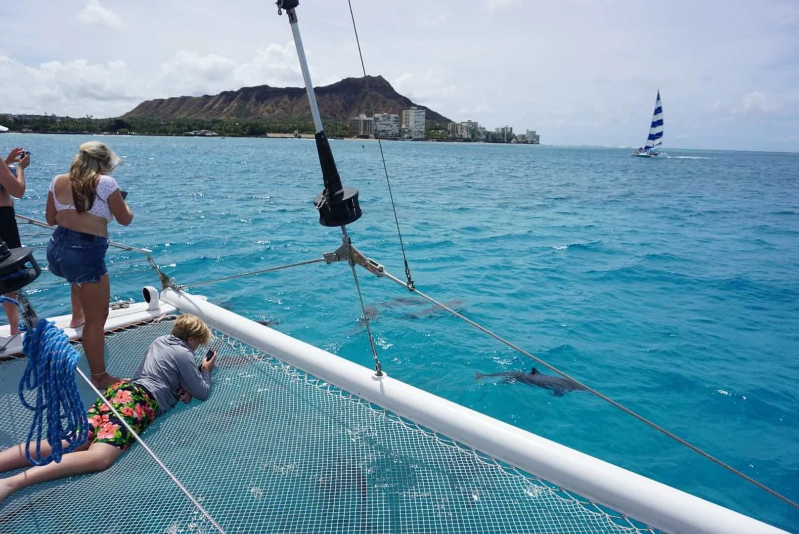 People on a boat with a dolphin swimming close by in the ocean with a city and mountain in the background.