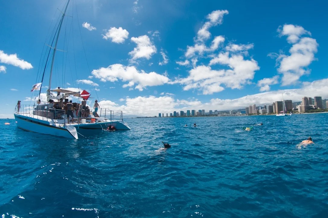 Morning Snorkel Tour at Turtle Canyon Waikiki