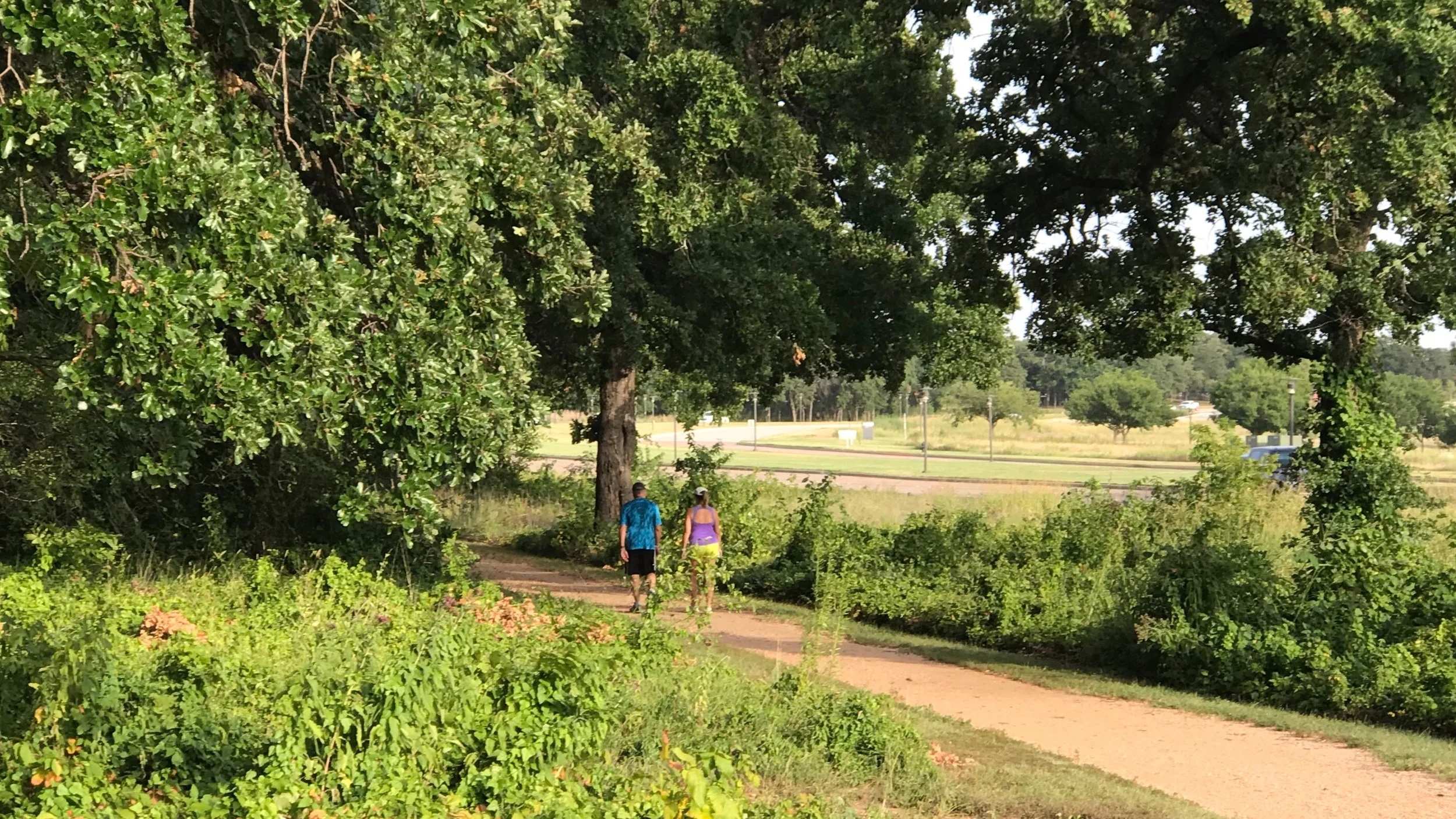 Knolls+Trails.jpg