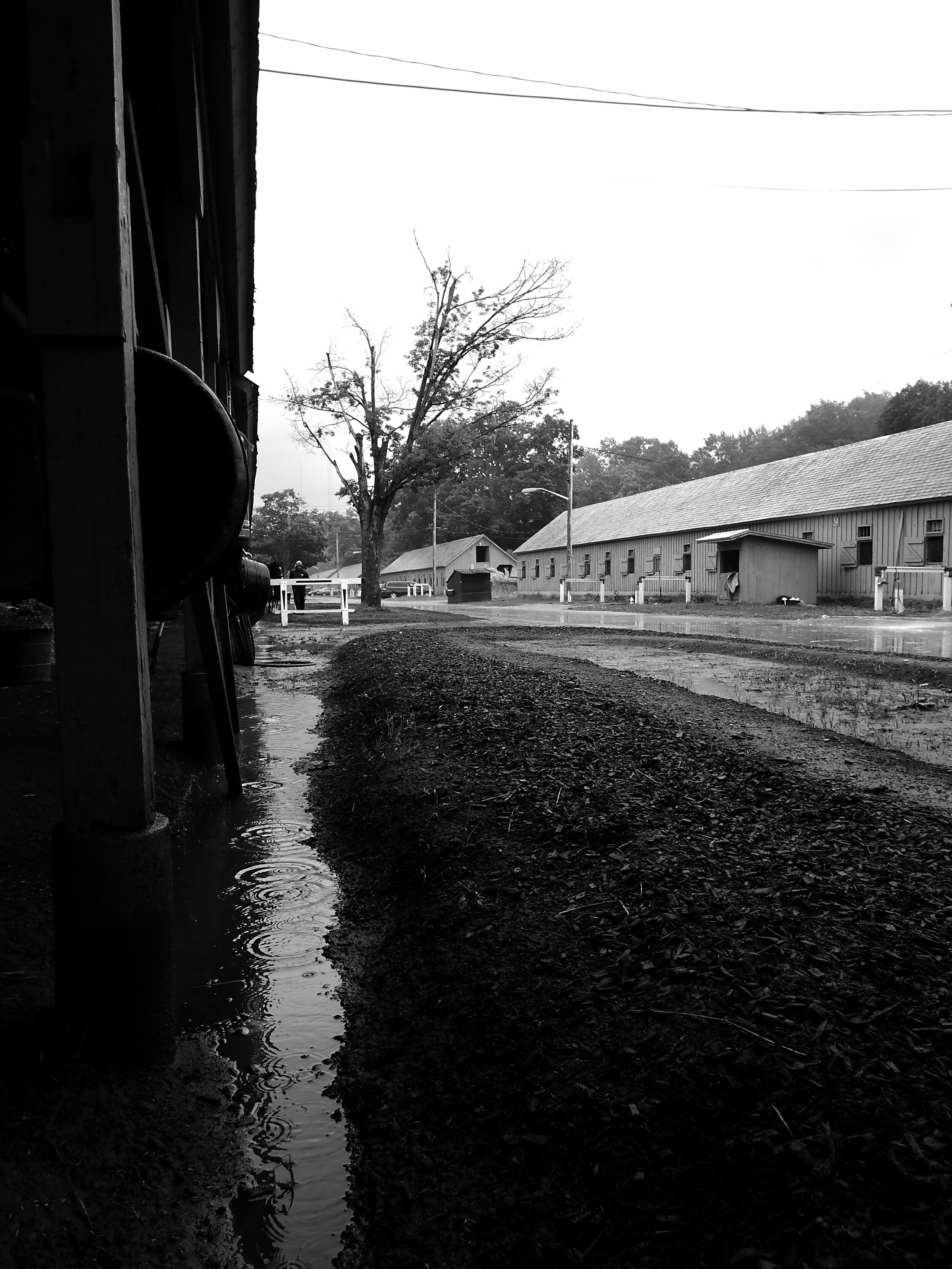 Dia Mojado en el Trabajo/A Wet Day at Work