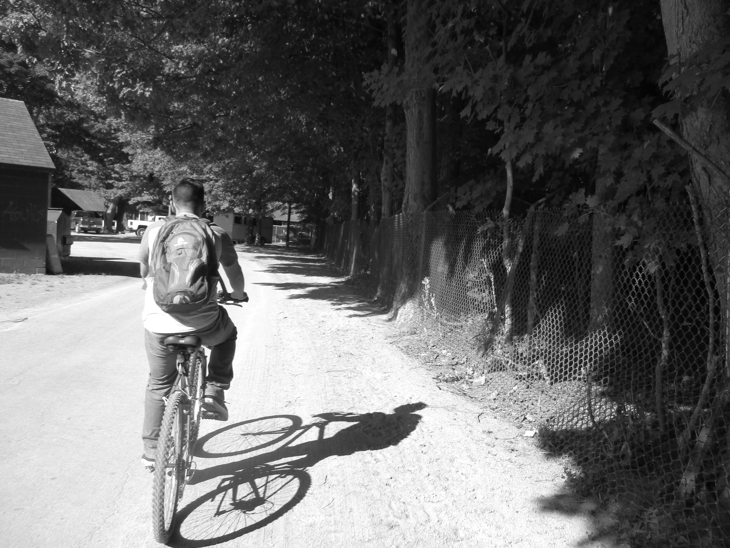 El Camino de la Vida/The Journey of Life
