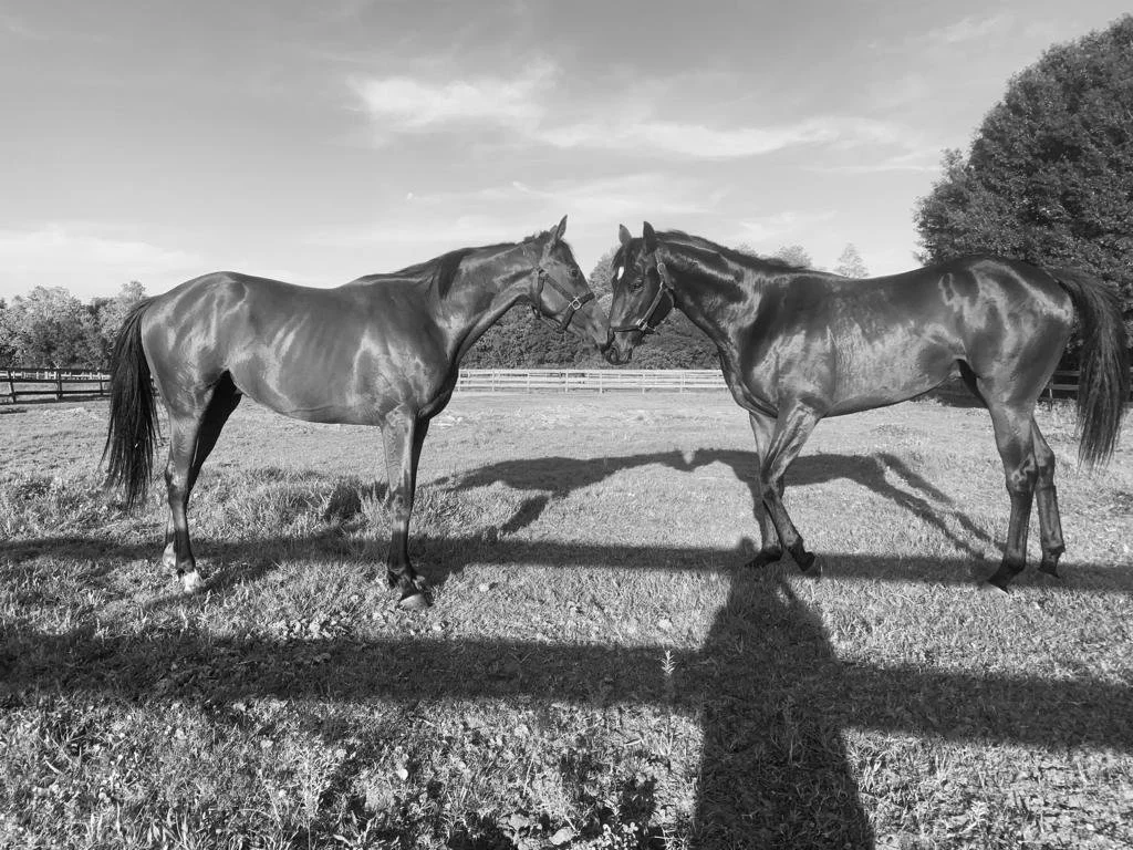 2023-29-andres francisco.JPG