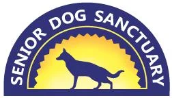 sdspic.jpg