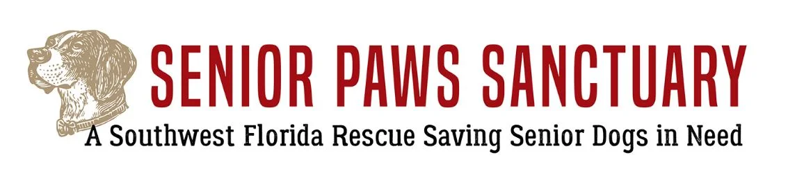 SeniorPawsNewLogoHeader.jpg