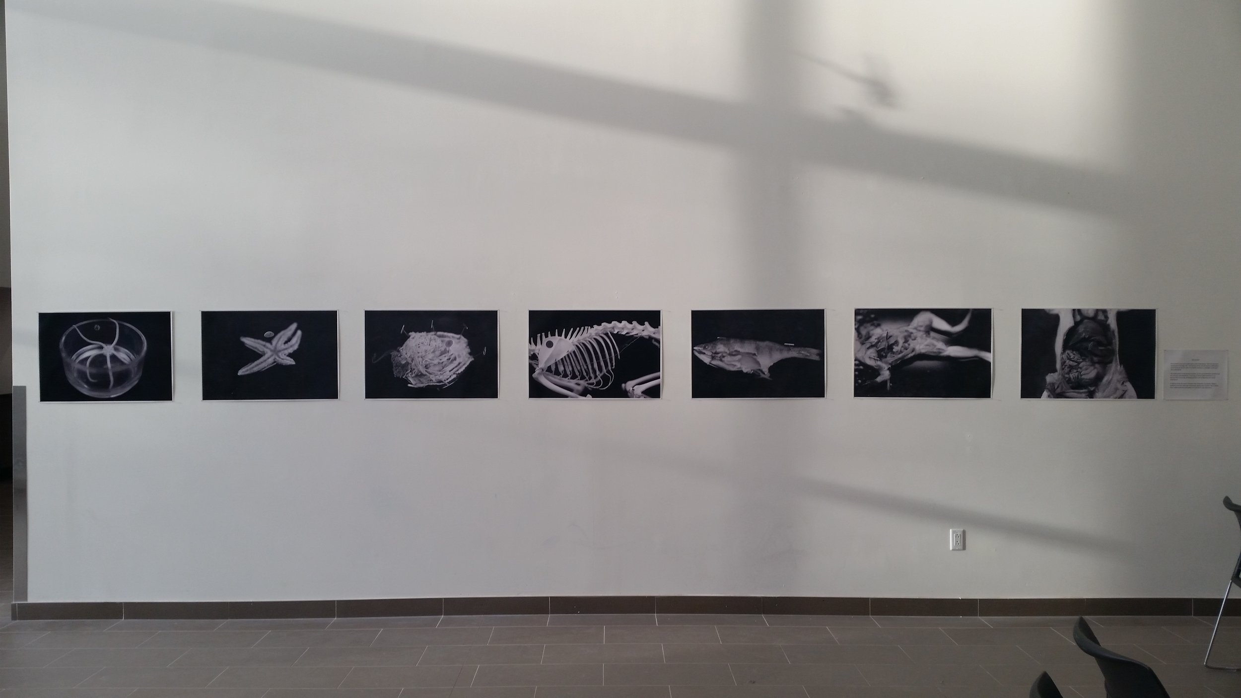 20160426_191131.jpg