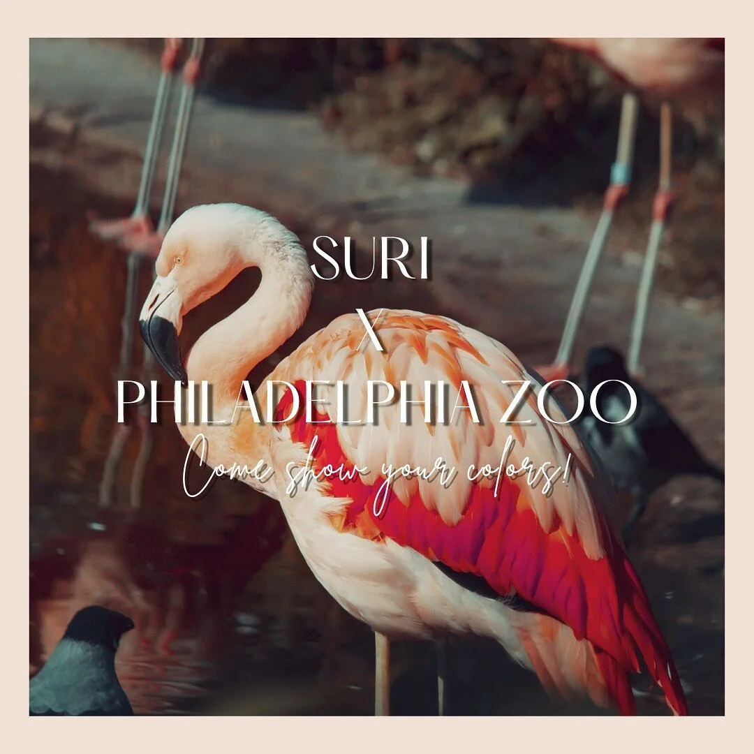 Come take a walk on the wild side with us as we play holi at the zoo!!!

#suripopup #surixphiladelphiazoo