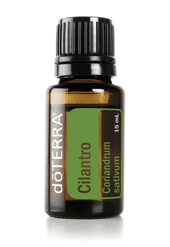 2x3-566x819-15ml-41850001-cilantro-us-english-web.jpg