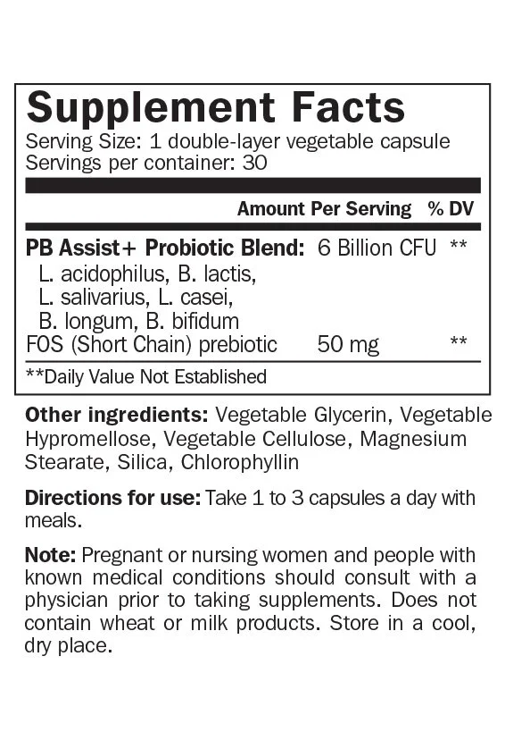 2x3-566x819-supplement-pbassist-us-english-web.jpg