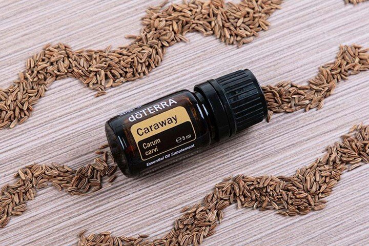Have you ever wondered what #essentialoils are great to use when cooking? Look no further than Caraway! ⠀⠀⠀⠀⠀⠀⠀⠀⠀
⠀⠀⠀⠀⠀⠀⠀⠀⠀
This #herbaceous essential oil can be used in place of many spices. Common in Europe, Asia, Africa and the United States, cara