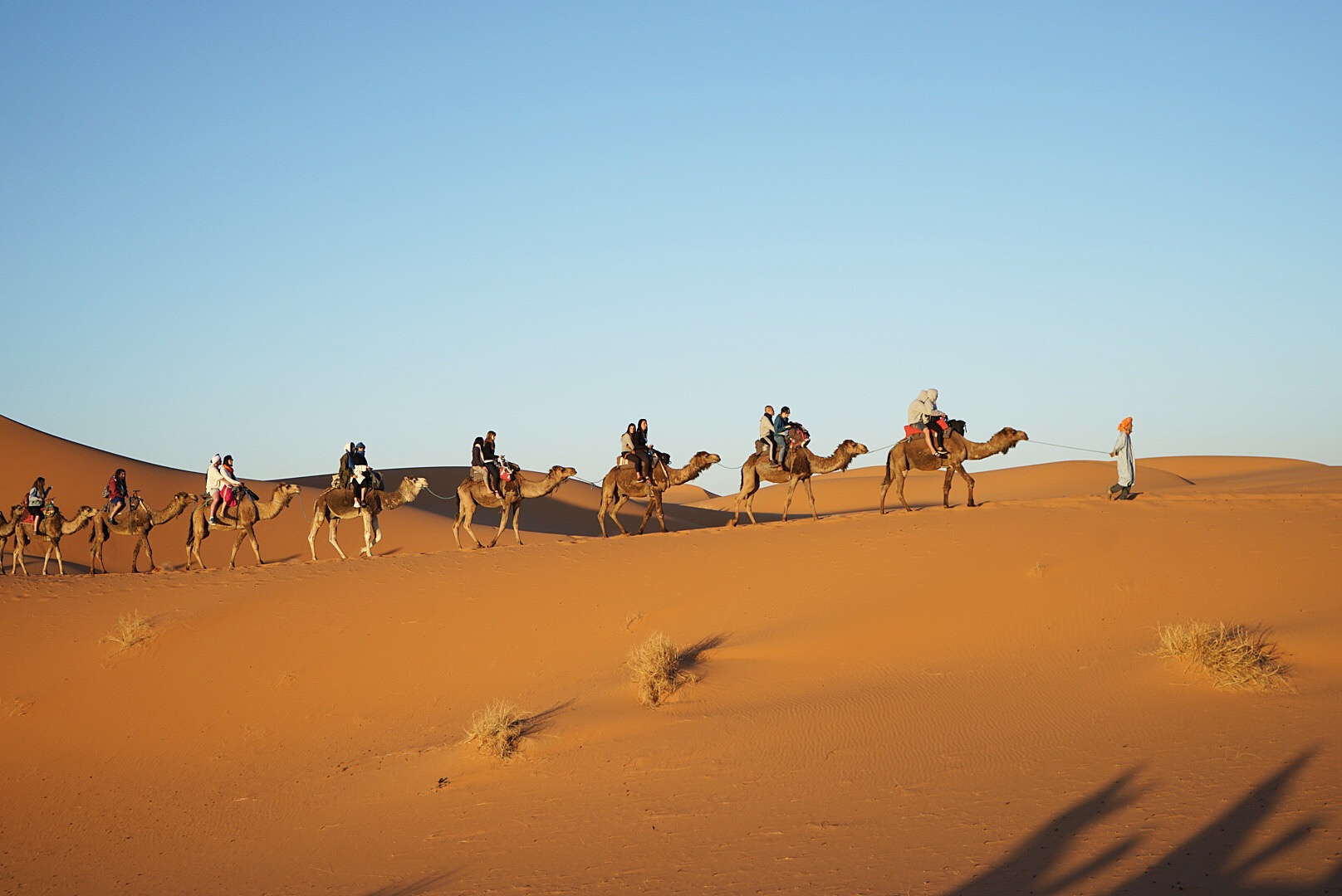We rode our camels back from the berber camp for sunrise