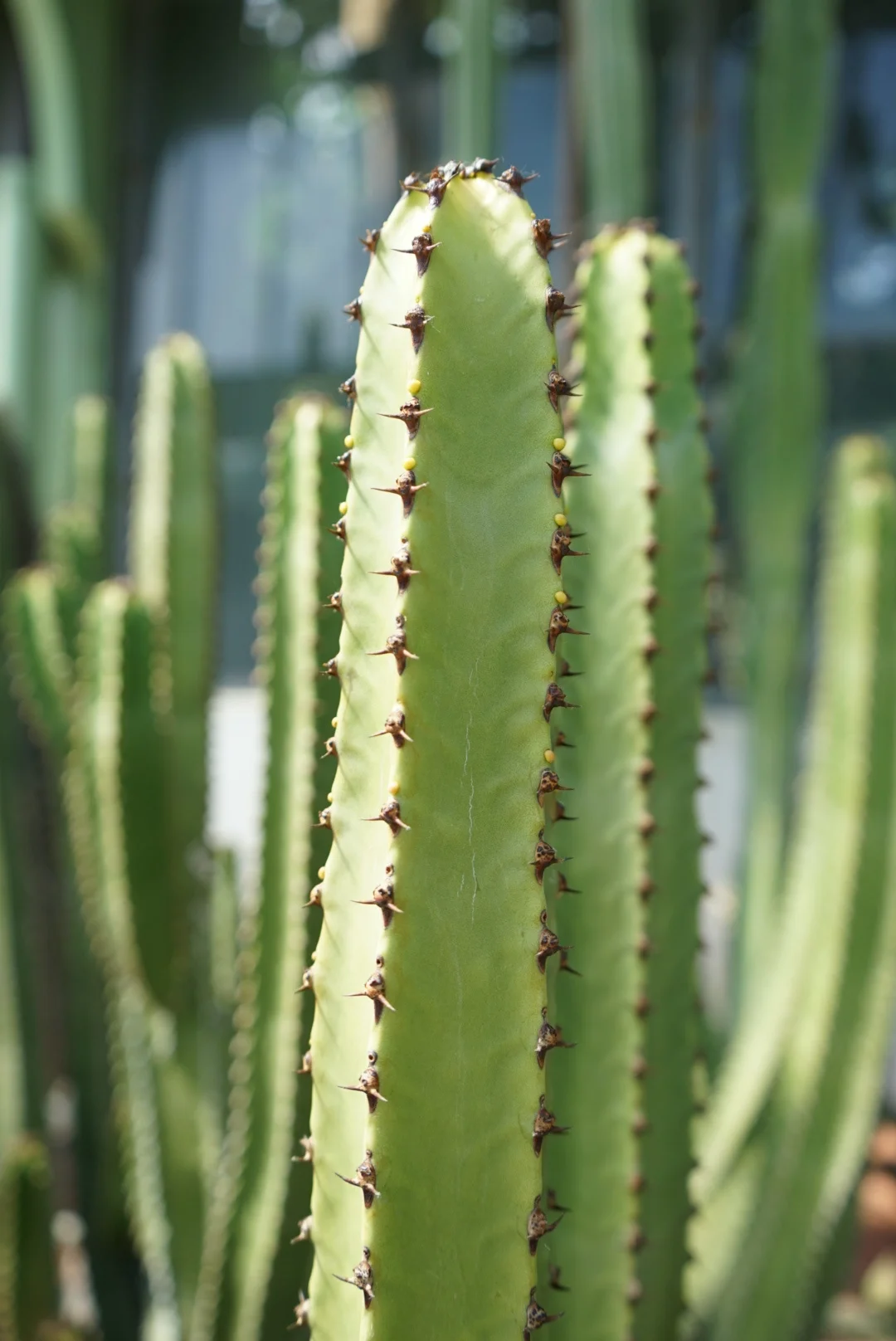 image1 (1).jpeg