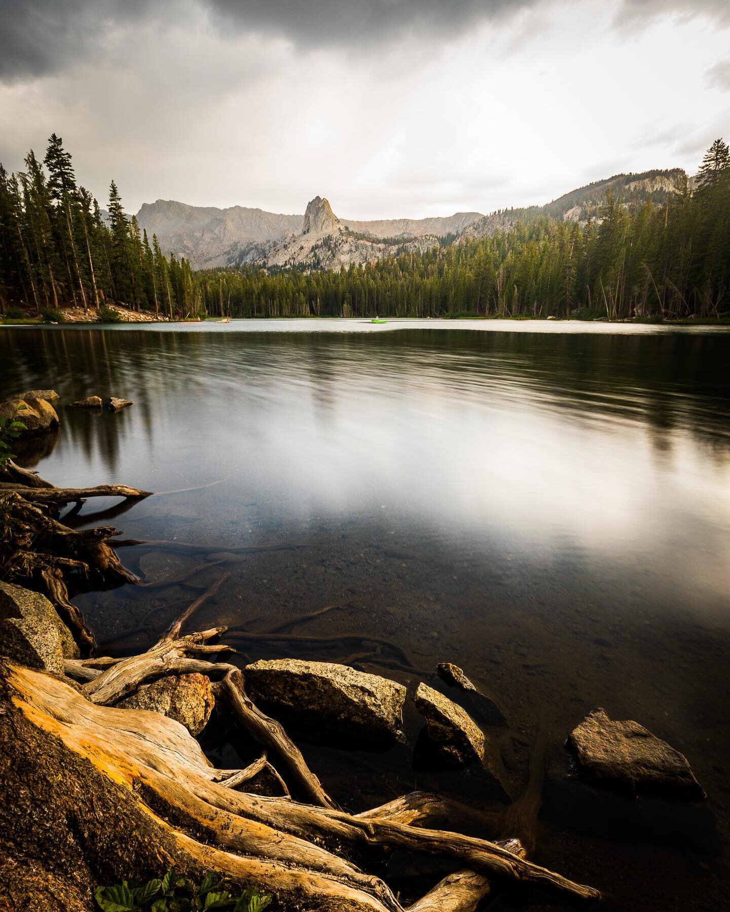 Bronze tones from Mammoth.