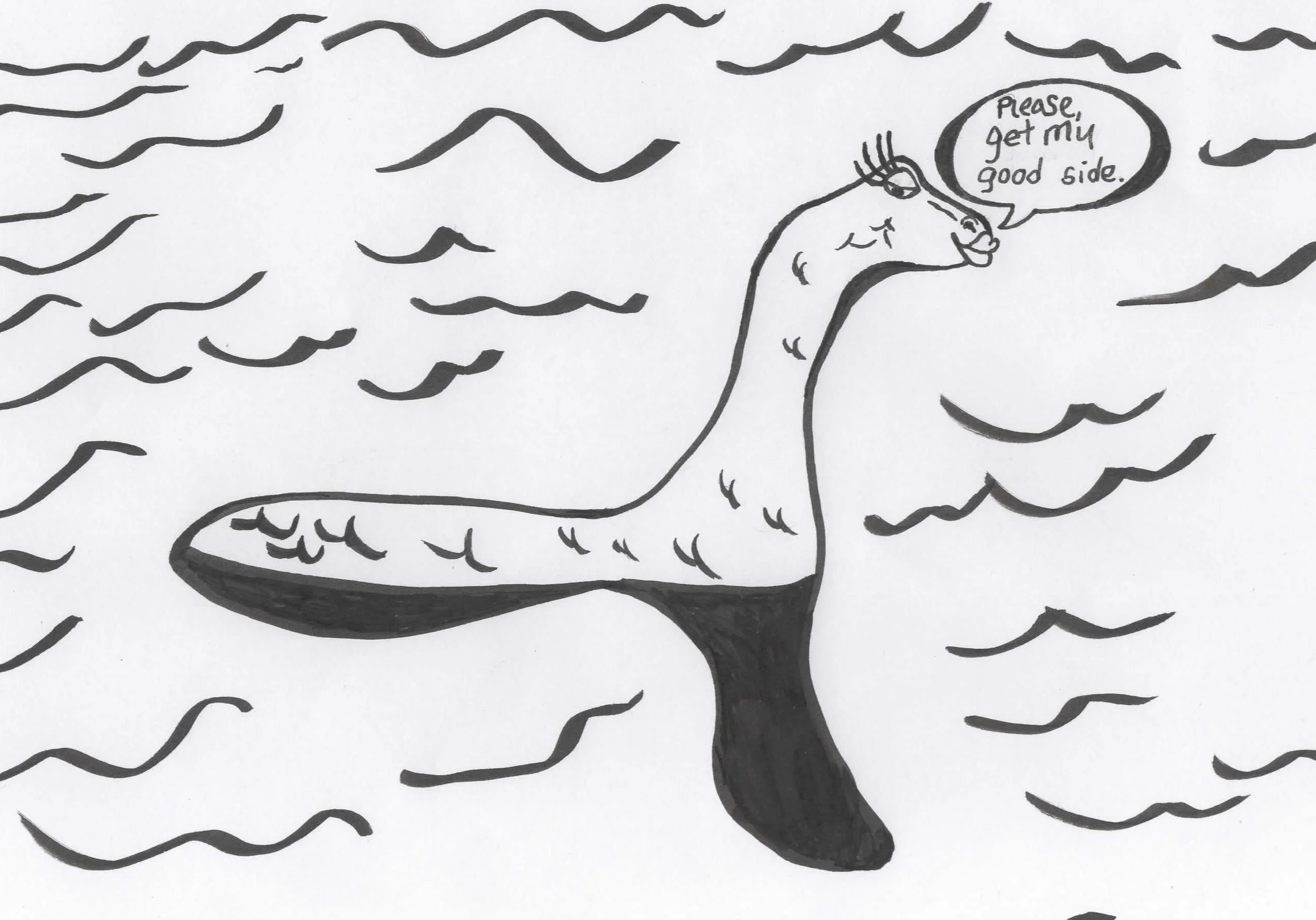 "If there is a Loch ness Monster, Scotland has a plan B"