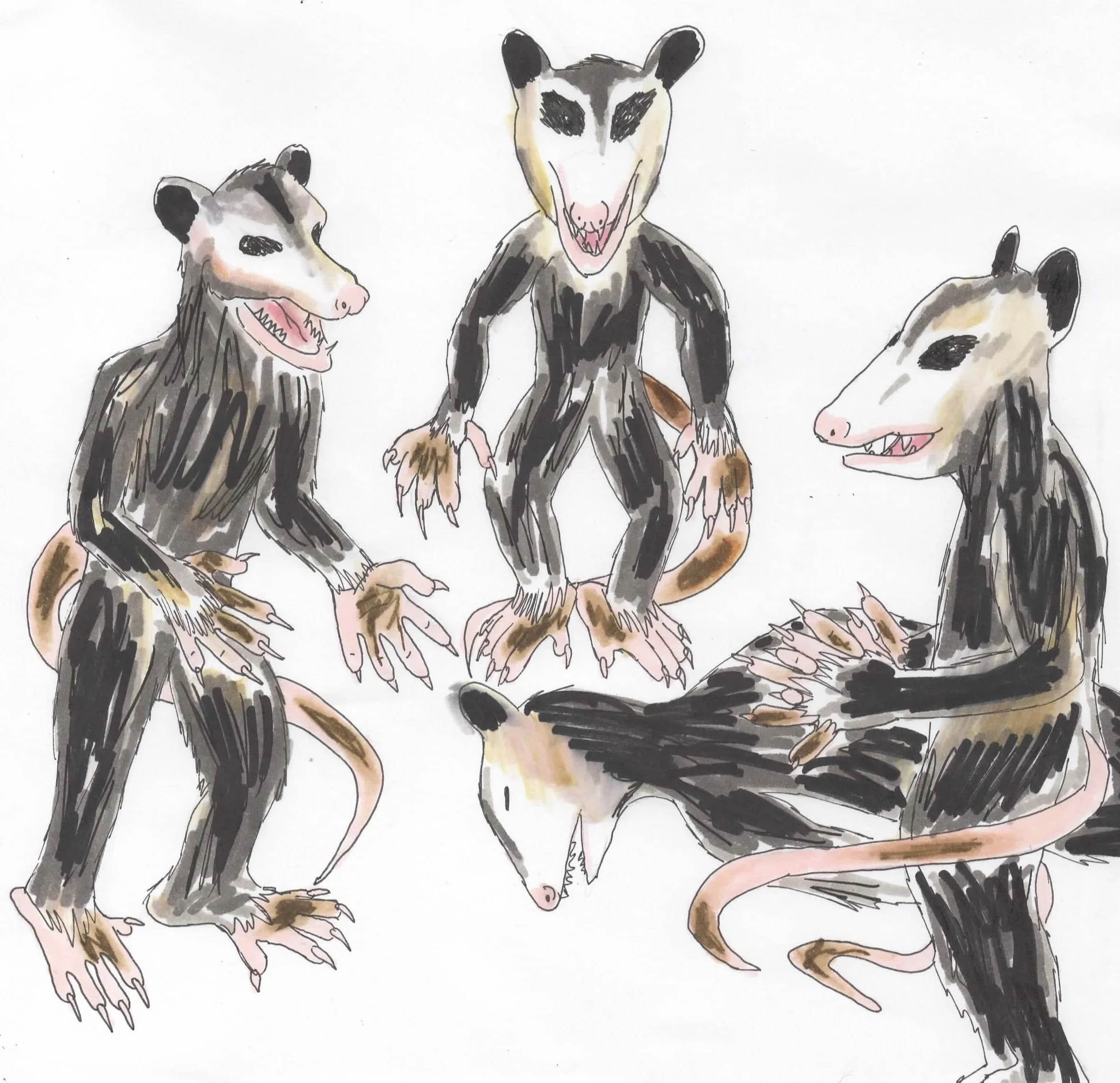 The Possum People of the Monongahela National Forest - NFTF Case 009