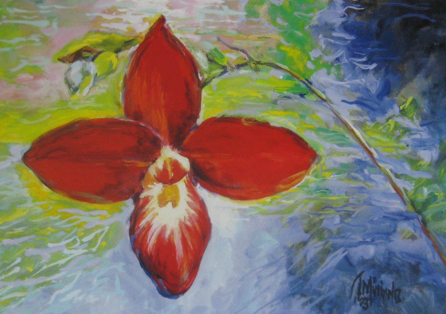 "Phrag. Bessiae" 2003