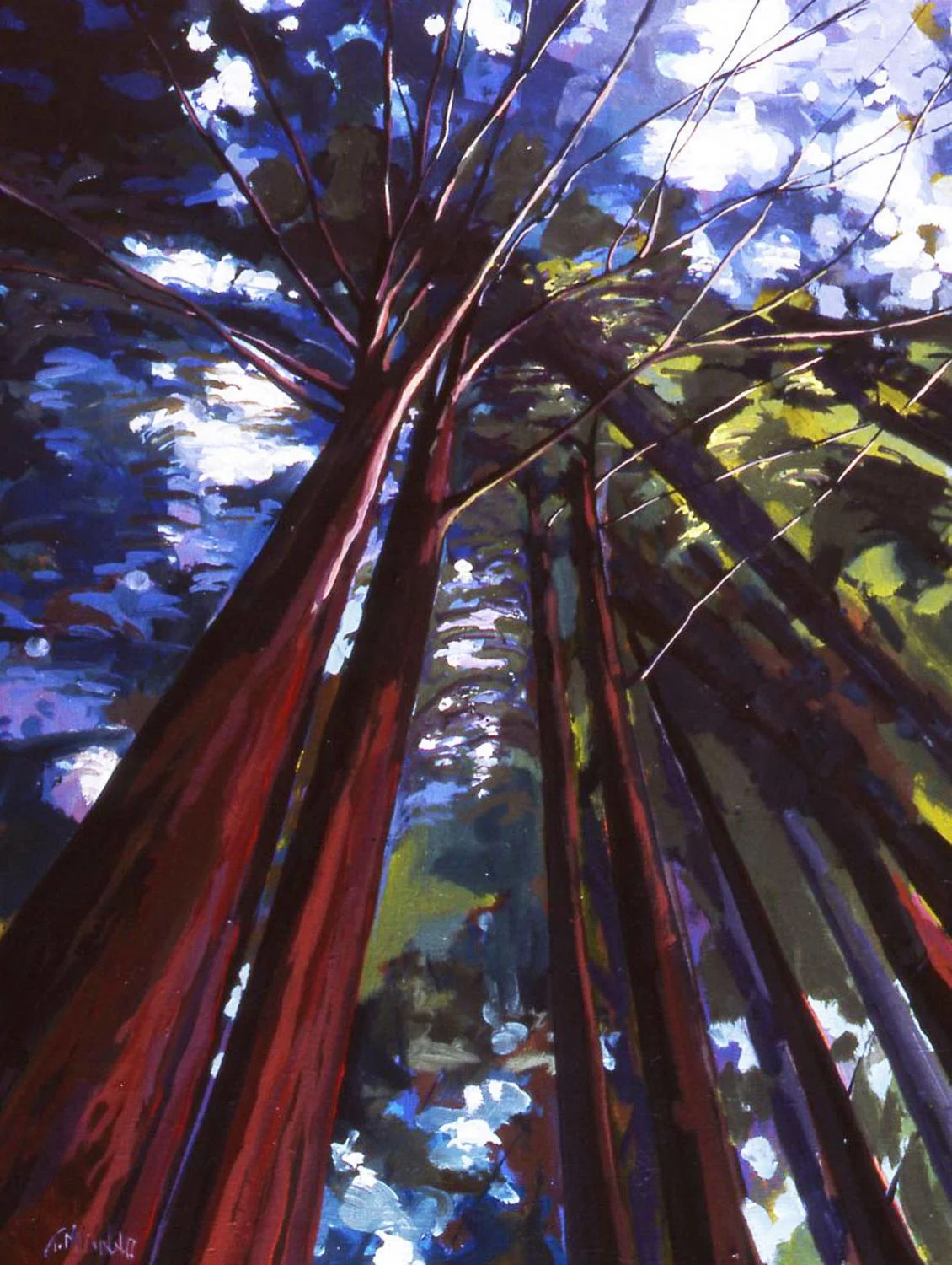 "Canopy"