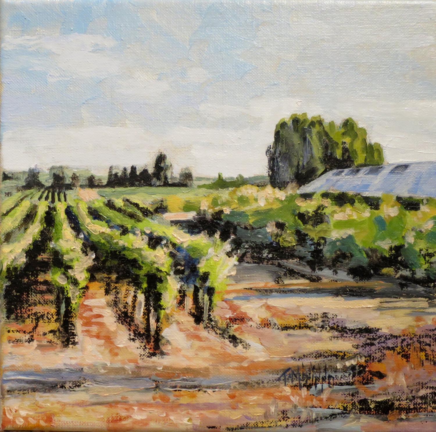 “The Vineyard”
