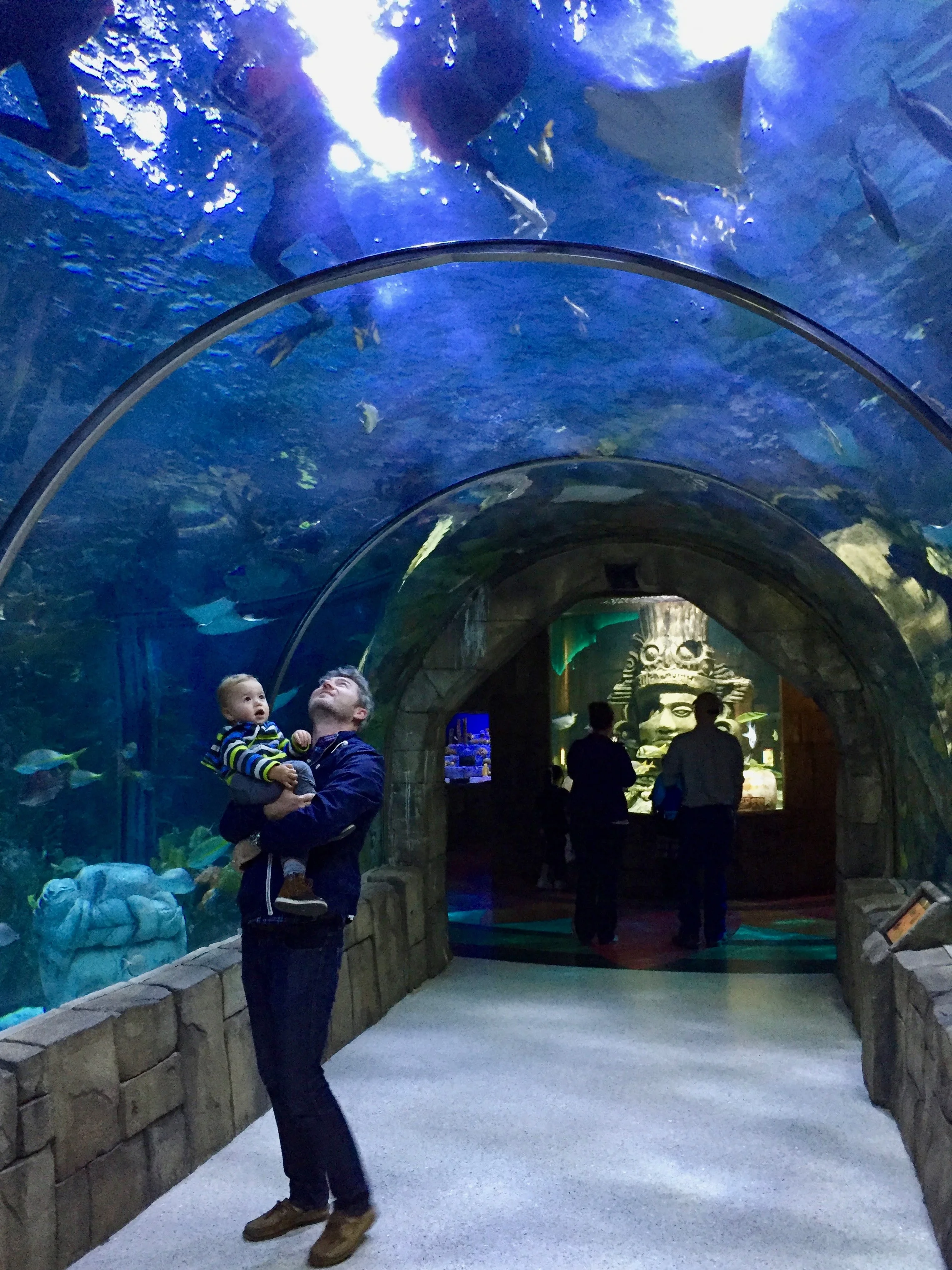 Splish, Splash The Caribbean reef tunnel at the Audubon Aquarium of the Americas .