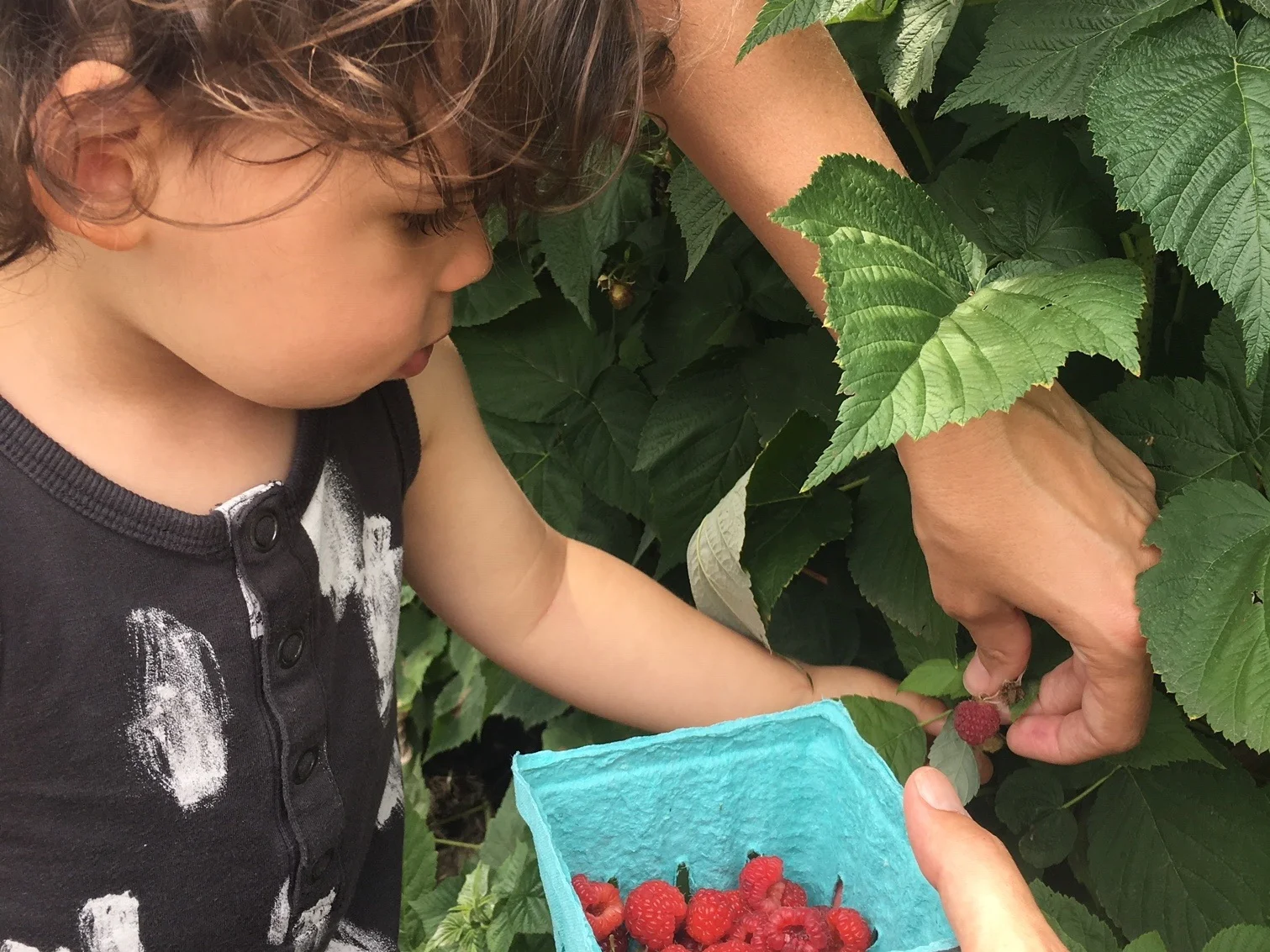 Get fresh air—and fruit: Diaz and family love stopping at pick-your-own farms on road trips in Michigan.