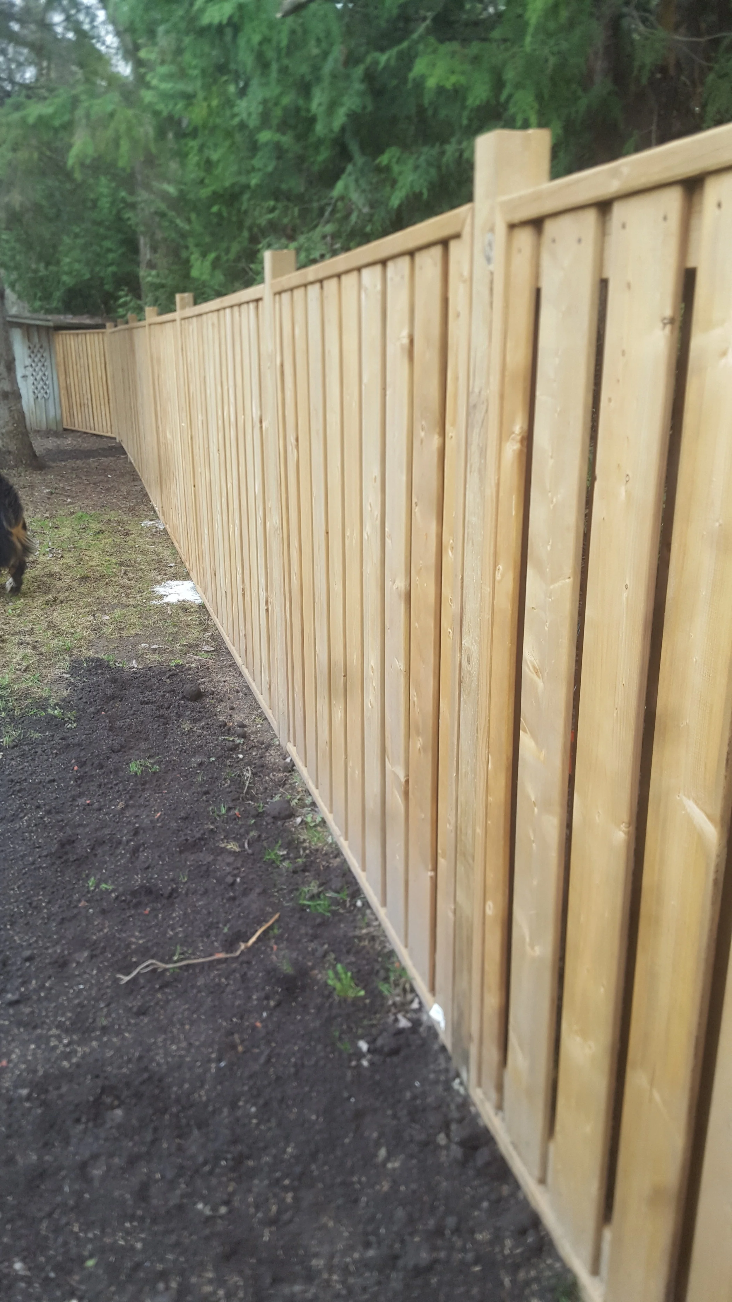 Fences.jpg