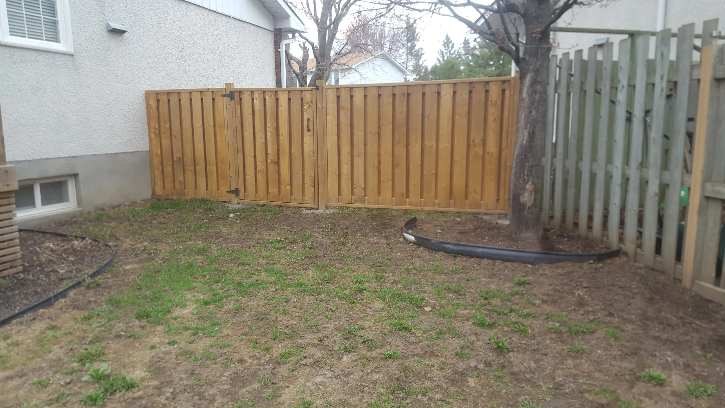 Fences 03.jpg
