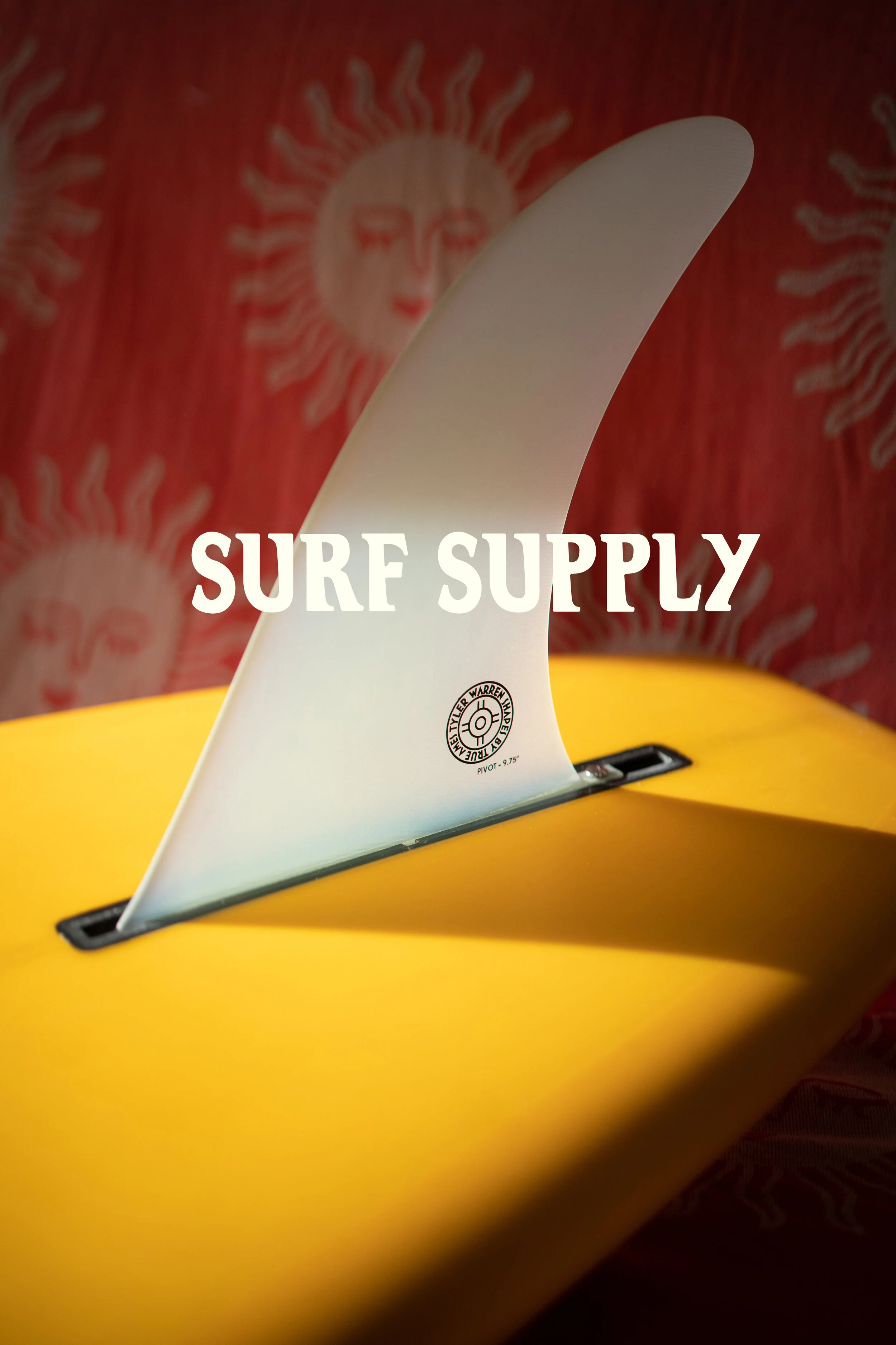 tyler warren with overlay.jpg