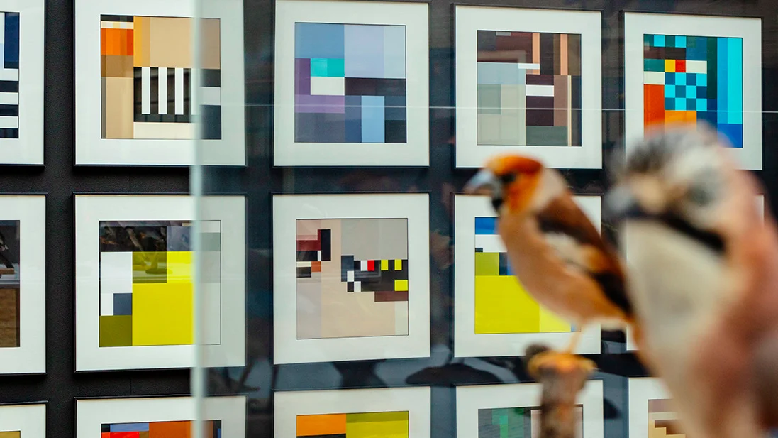 BLOCBIRDS01.jpg