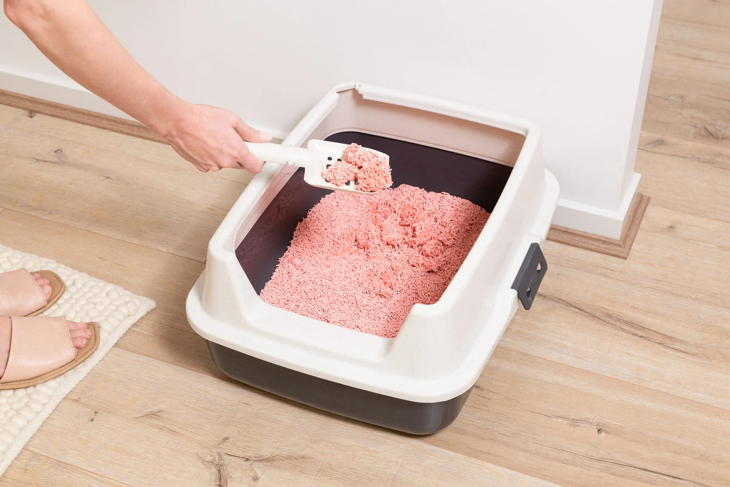 Post 29 - Slide 1.jpg