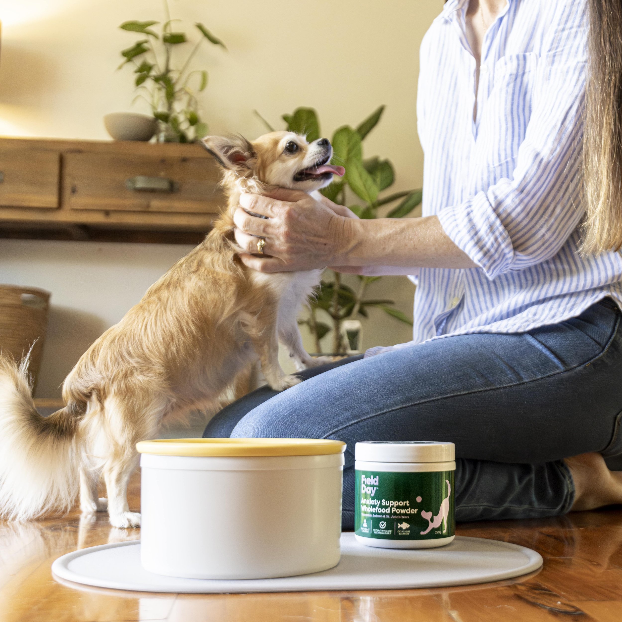 Photo #7 - Chihuahua_ Anxiety Support-min.jpg