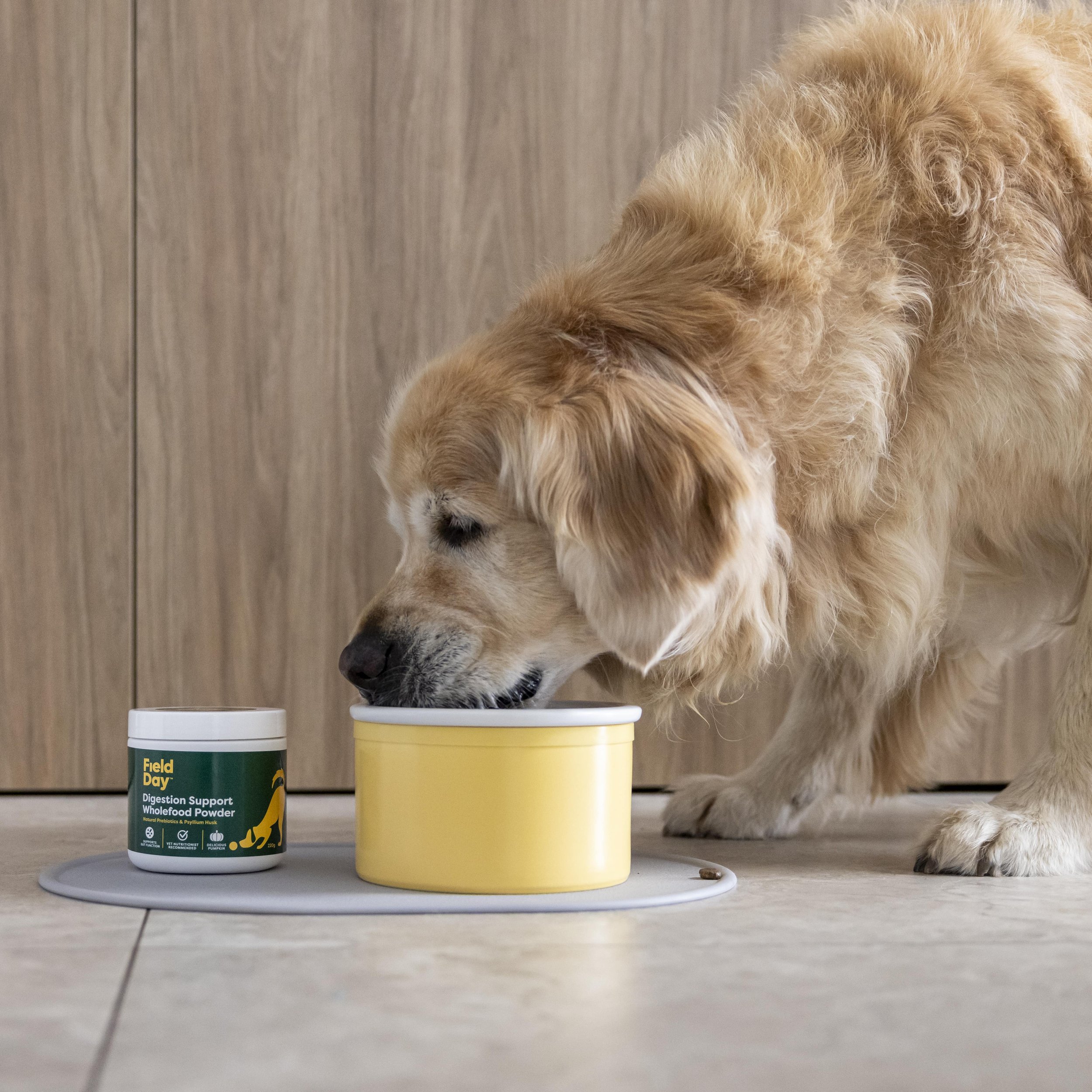 Photo #9 - Labrador_ Digestion Support-min.jpg