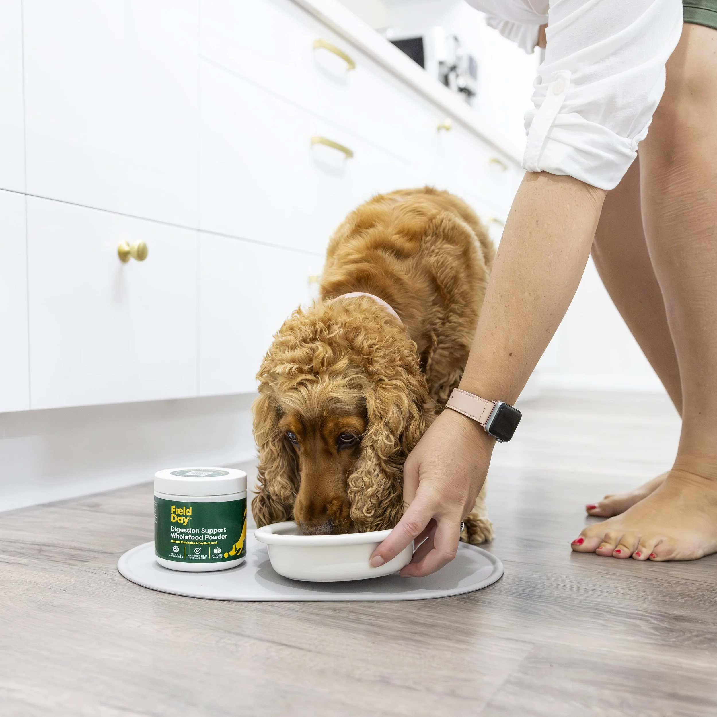 Photo #10 - Cocker Spaniel_ Digestion Support-min.jpg