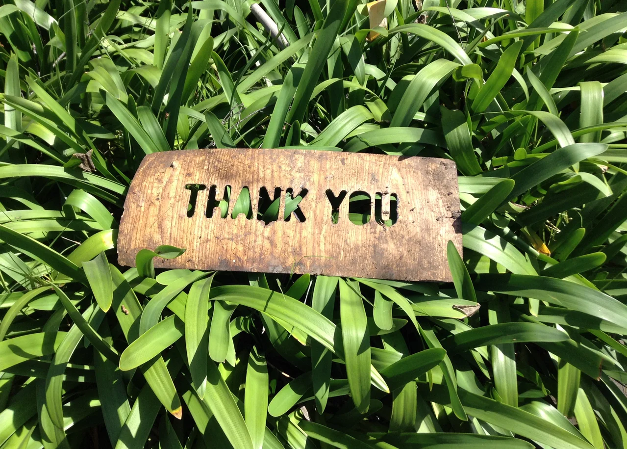 thank-you-1243804-1279x915.jpg